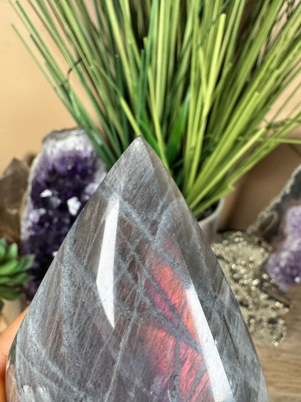 Polished Sunset Labradorite Flame 4.19in