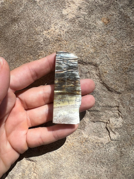 Arizona Pietersite Slab 20g - Purple Door Alchemy
