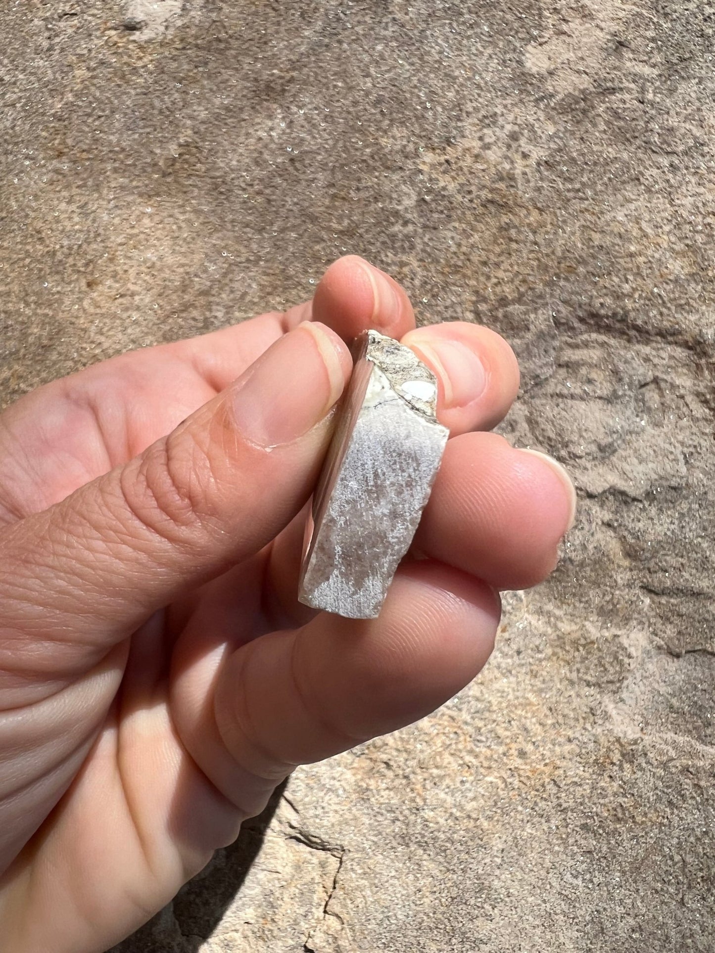 Arizona Pietersite Slab 20g - Purple Door Alchemy