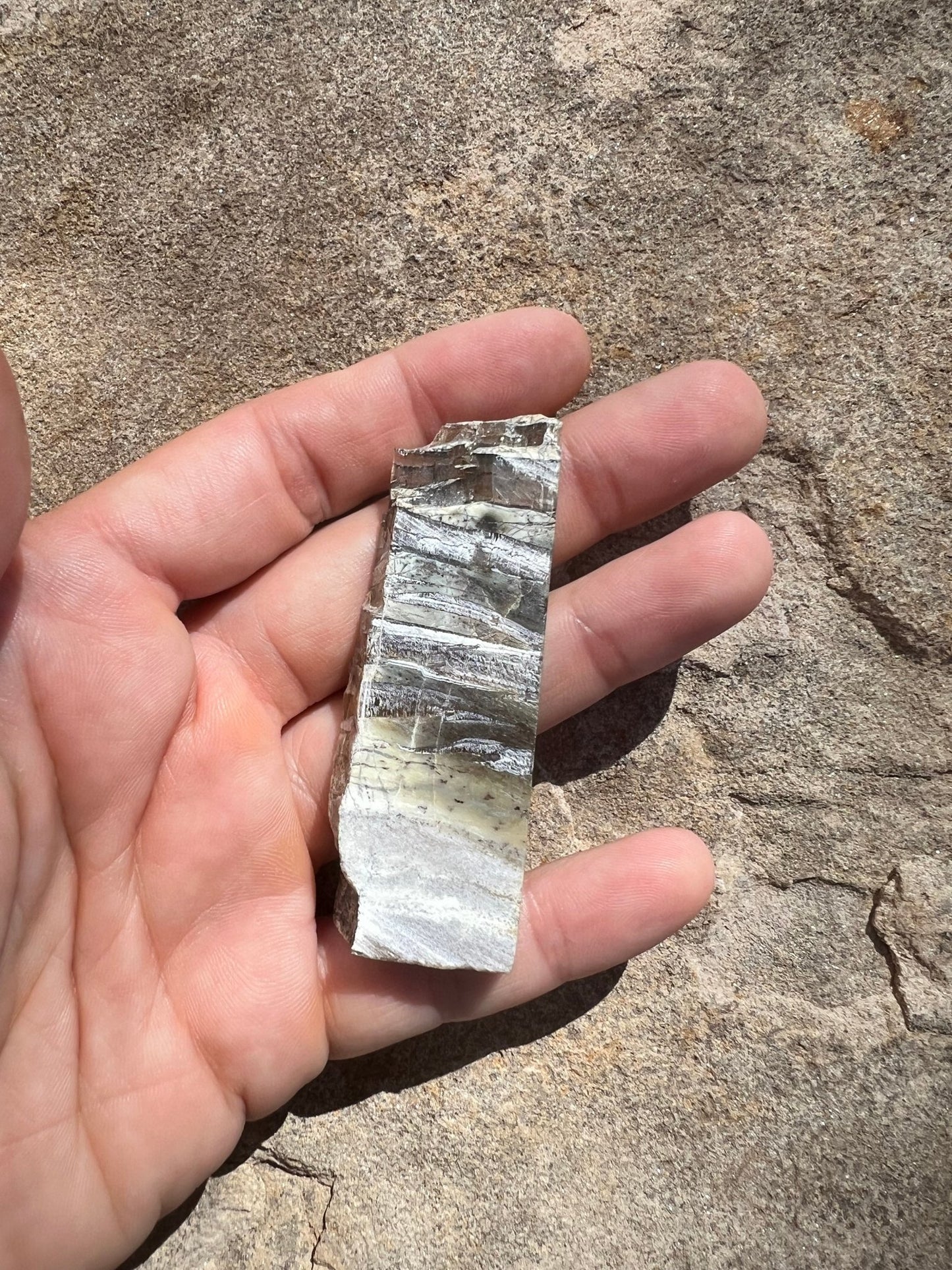 Arizona Pietersite Slab 20g - Purple Door Alchemy