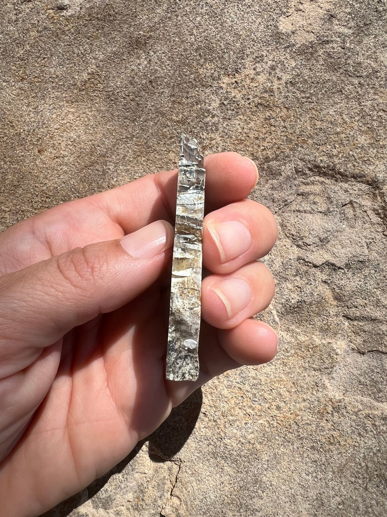 Arizona Pietersite Slab 20g - Purple Door Alchemy
