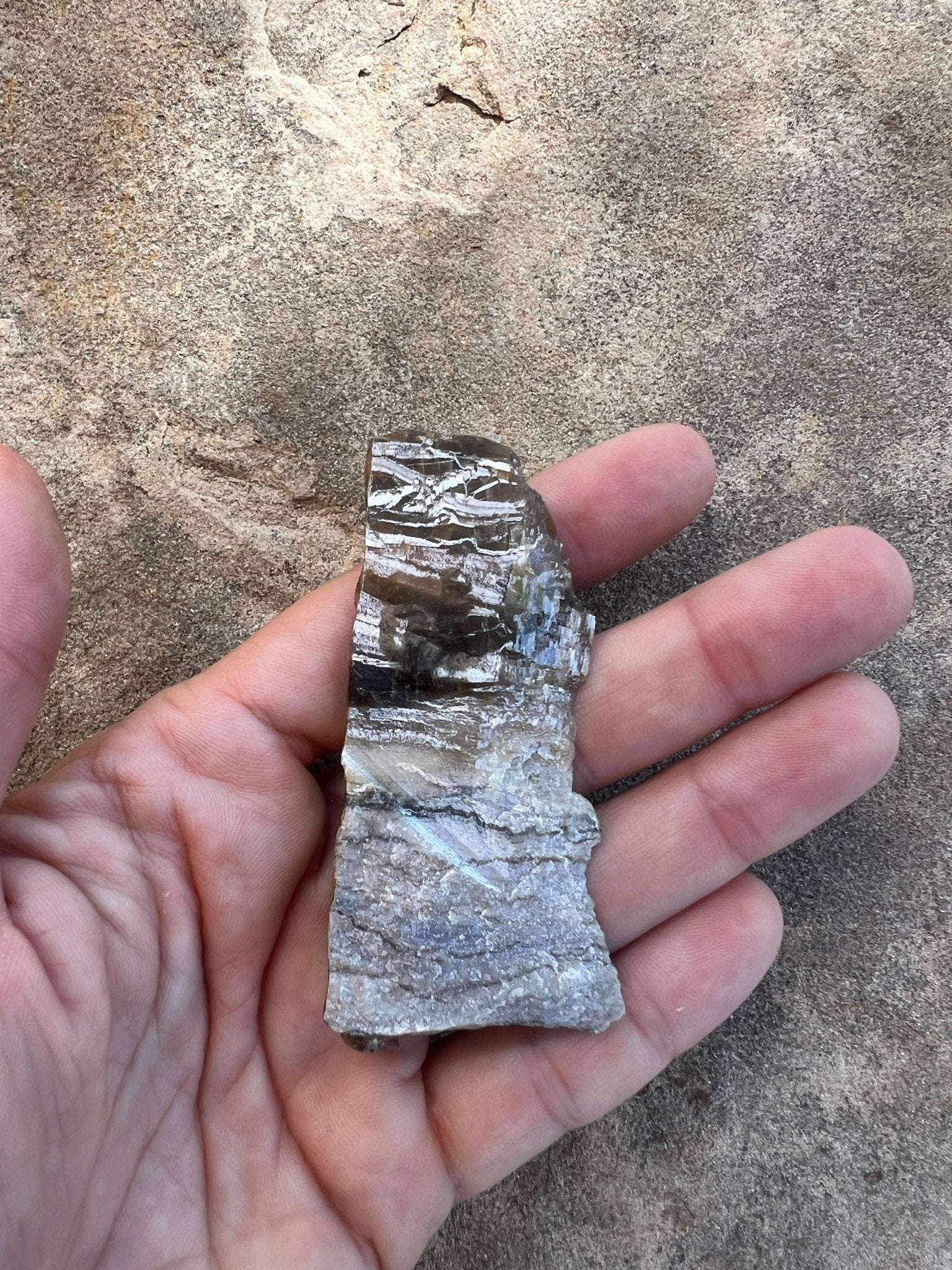Arizona Pietersite Slab 26g - Purple Door Alchemy