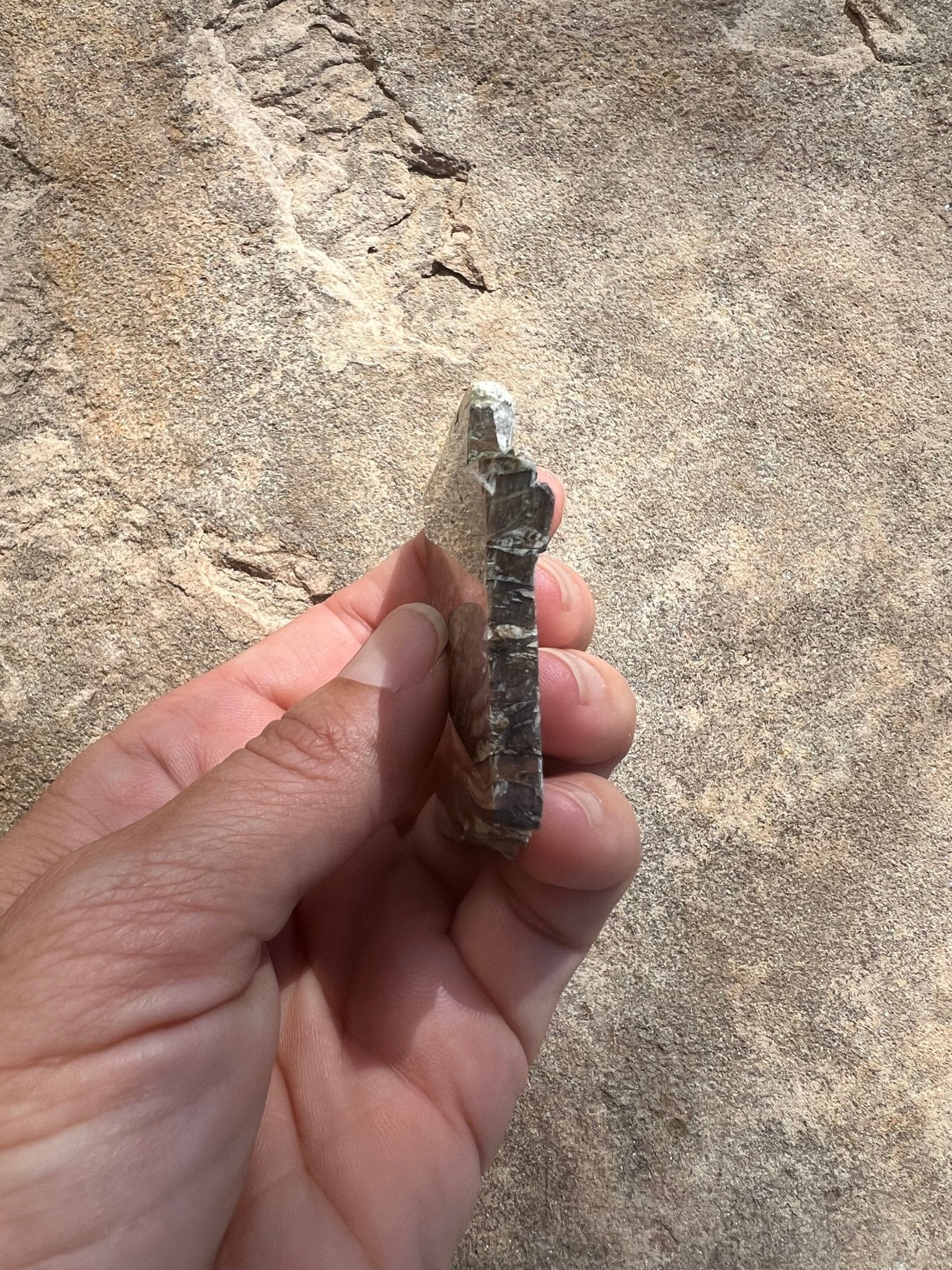 Arizona Pietersite Slab 31g - Purple Door Alchemy