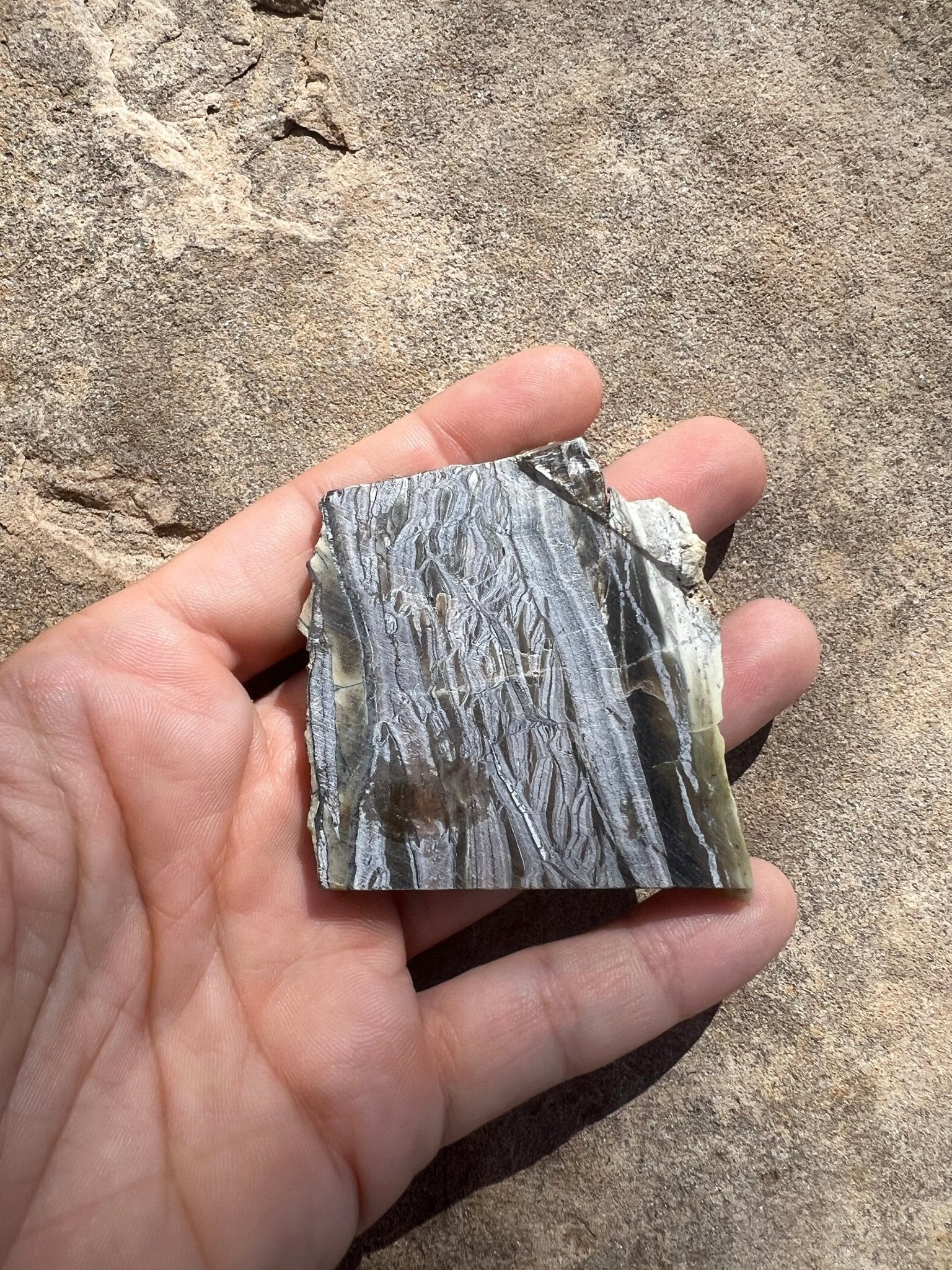 Arizona Pietersite Slab 31g - Purple Door Alchemy