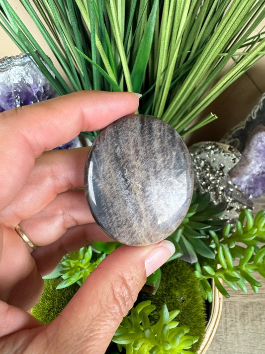 Black Moonstone Palm Stone - Purple Door Alchemy