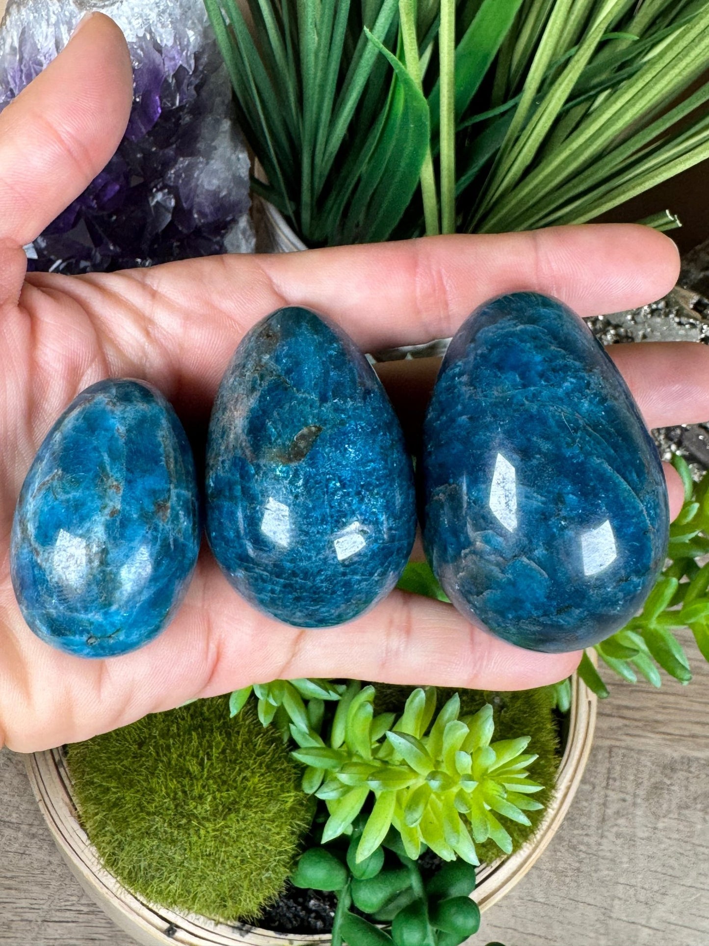 Blue Apatite Eggs - Purple Door Alchemy