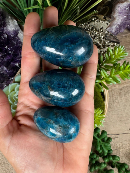 Blue Apatite Eggs - Purple Door Alchemy