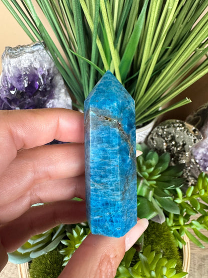 Blue Apatite Point - Purple Door Alchemy