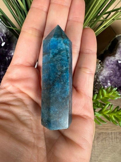 Blue Apatite Point - Purple Door Alchemy