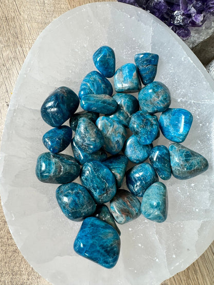 Blue Apatite Tumble - Purple Door Alchemy