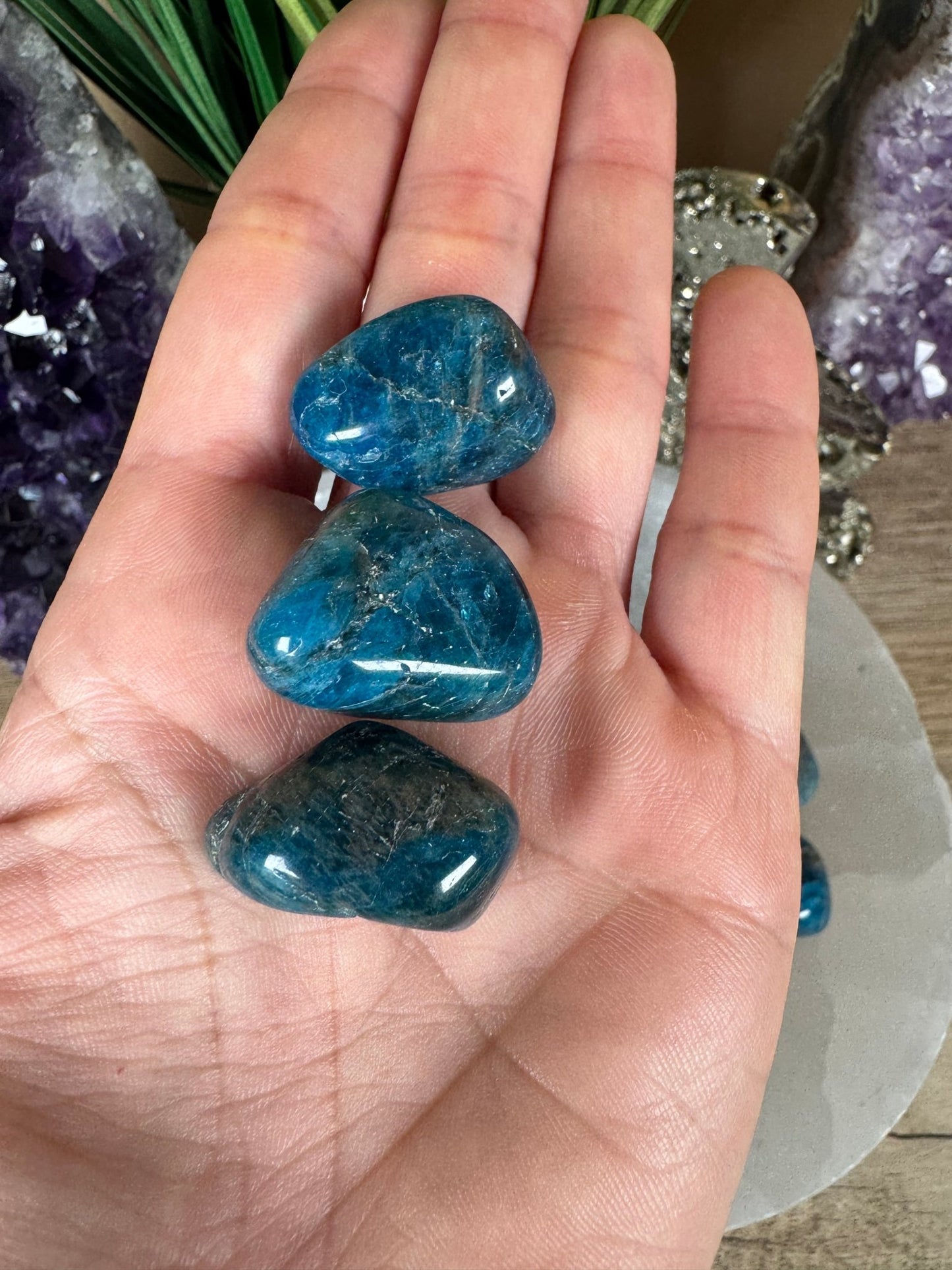 Blue Apatite Tumble - Purple Door Alchemy