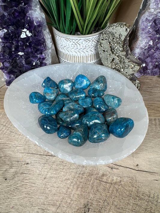 Blue Apatite Tumble - Purple Door Alchemy