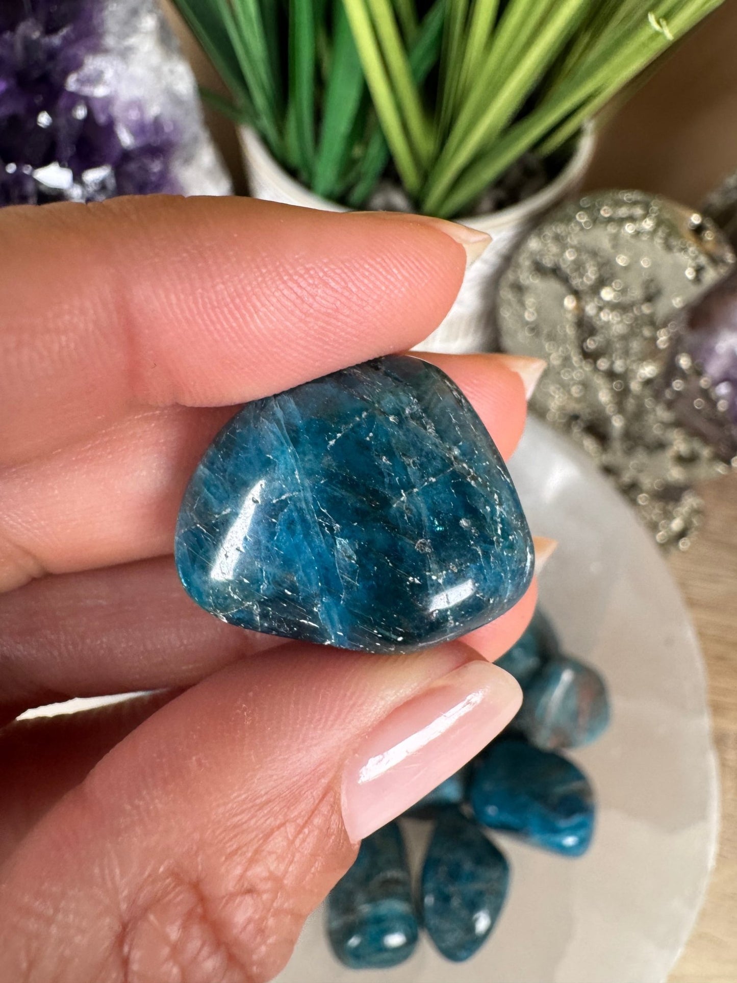 Blue Apatite Tumble - Purple Door Alchemy