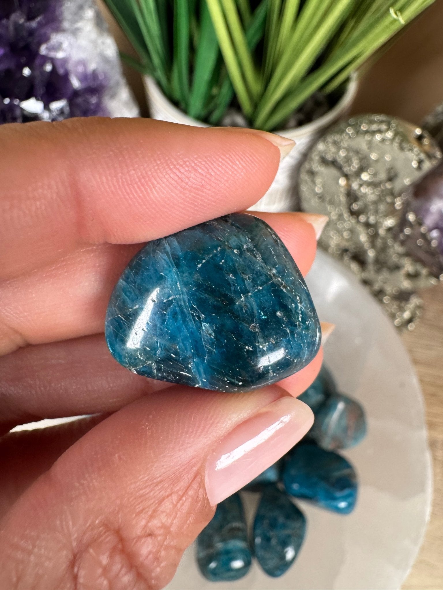 Blue Apatite Tumble - Purple Door Alchemy