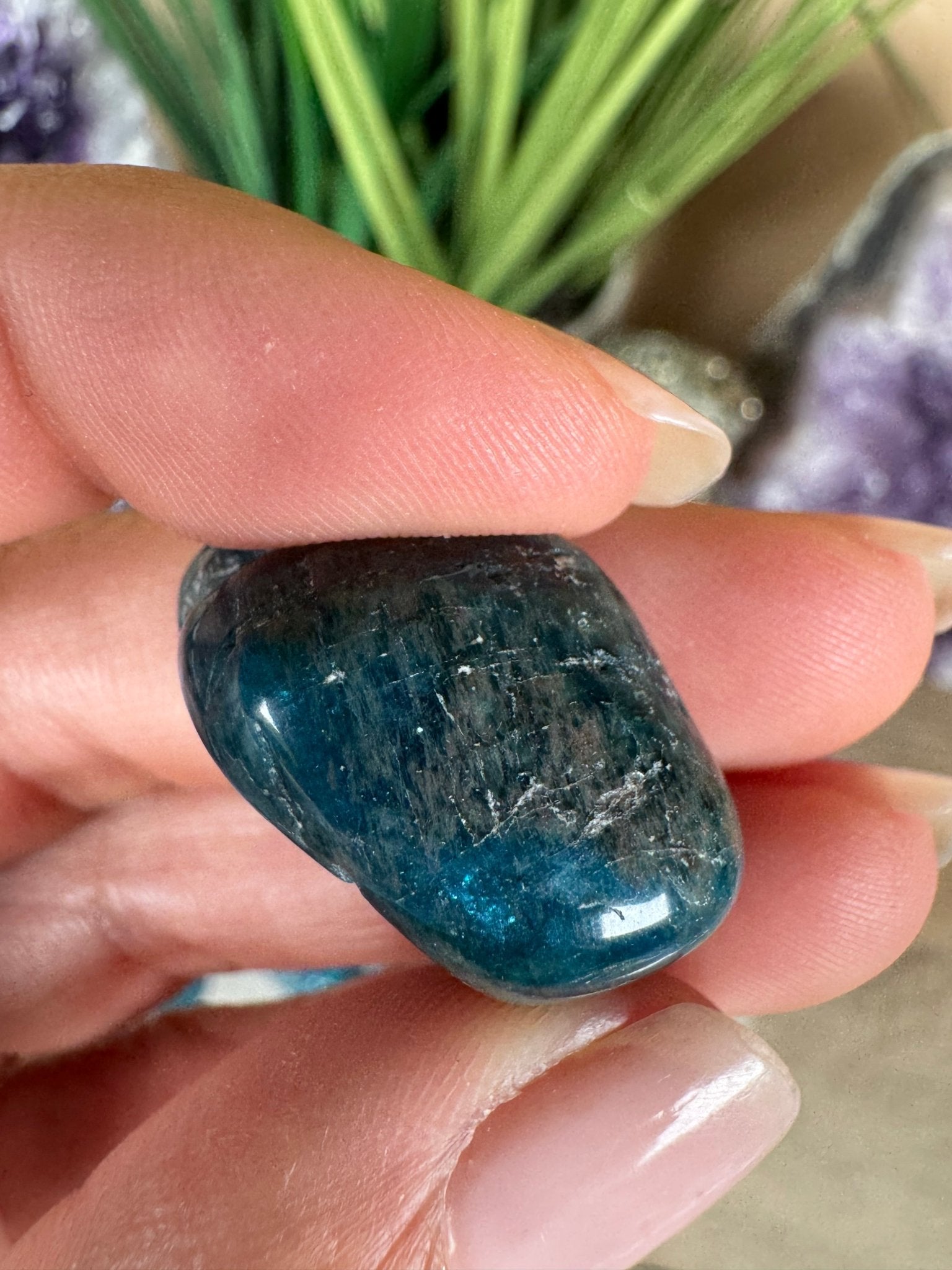 Blue Apatite Tumble - Purple Door Alchemy