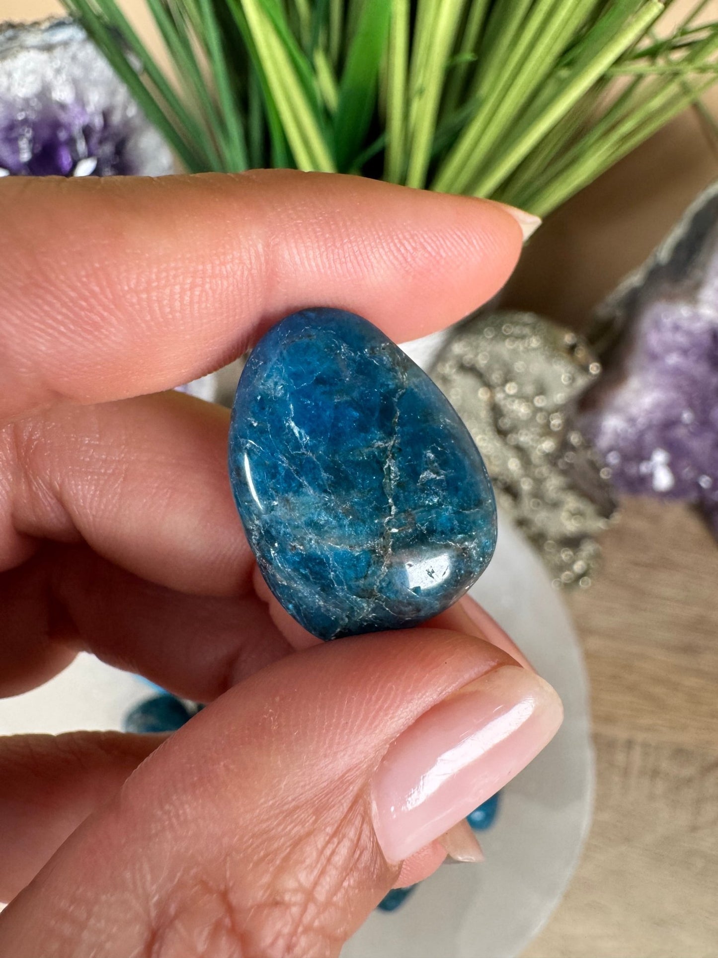 Blue Apatite Tumble - Purple Door Alchemy