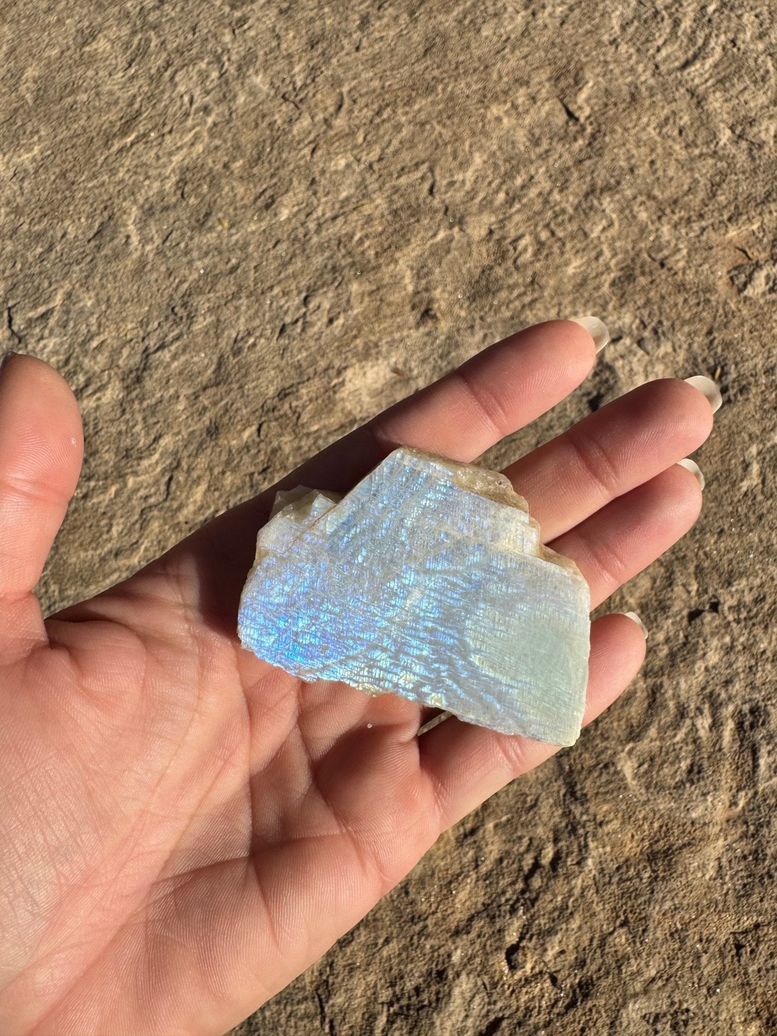 Blue Flash Moonstone Polished Slab 49g - Purple Door Alchemy