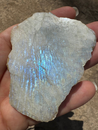 Blue Flash Moonstone Polished Slab 64g - Purple Door Alchemy