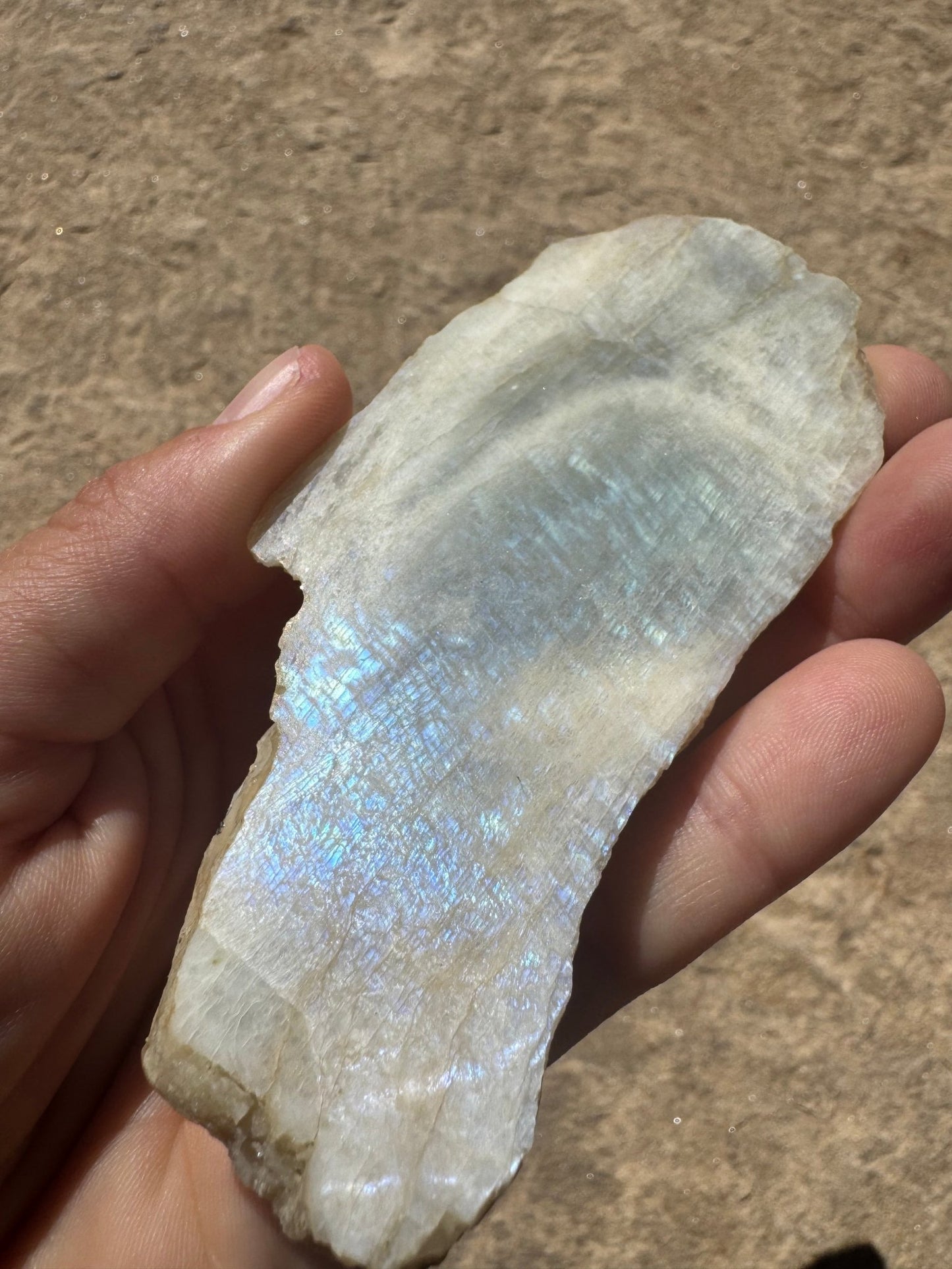 Blue Flash Moonstone Polished Slab 91g - Purple Door Alchemy