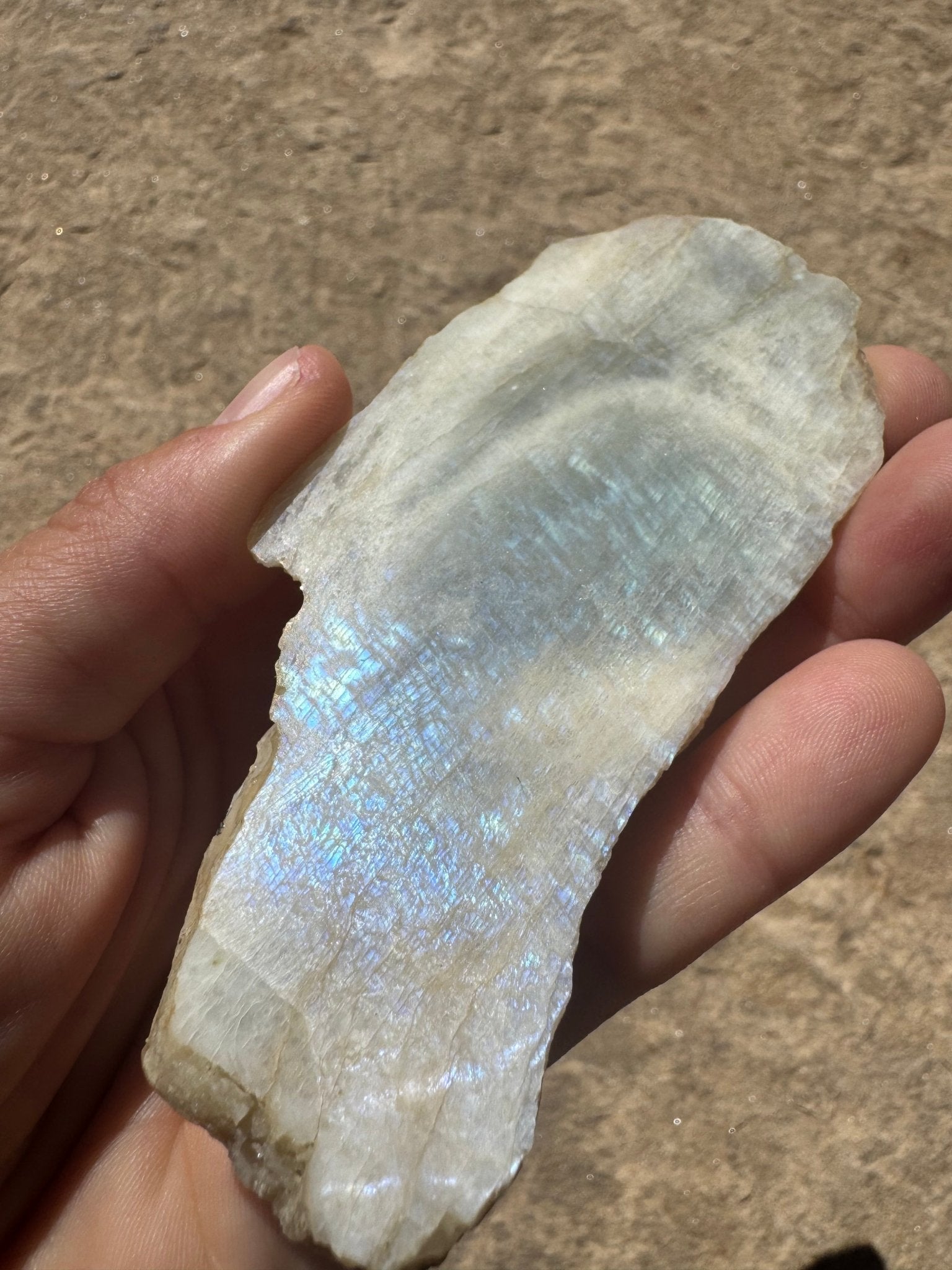 Blue Flash Moonstone Polished Slab 91g - Purple Door Alchemy