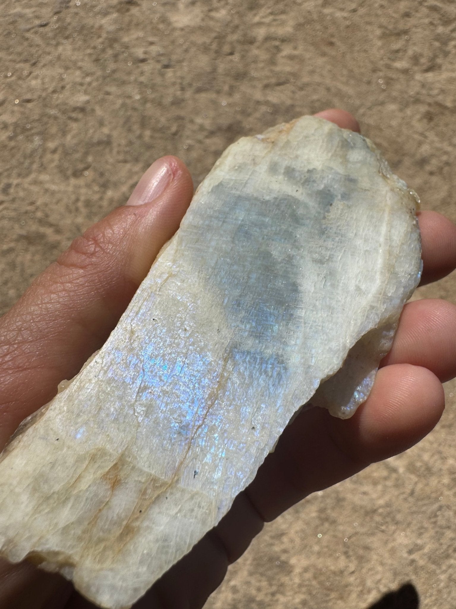 Blue Flash Moonstone Polished Slab 91g - Purple Door Alchemy