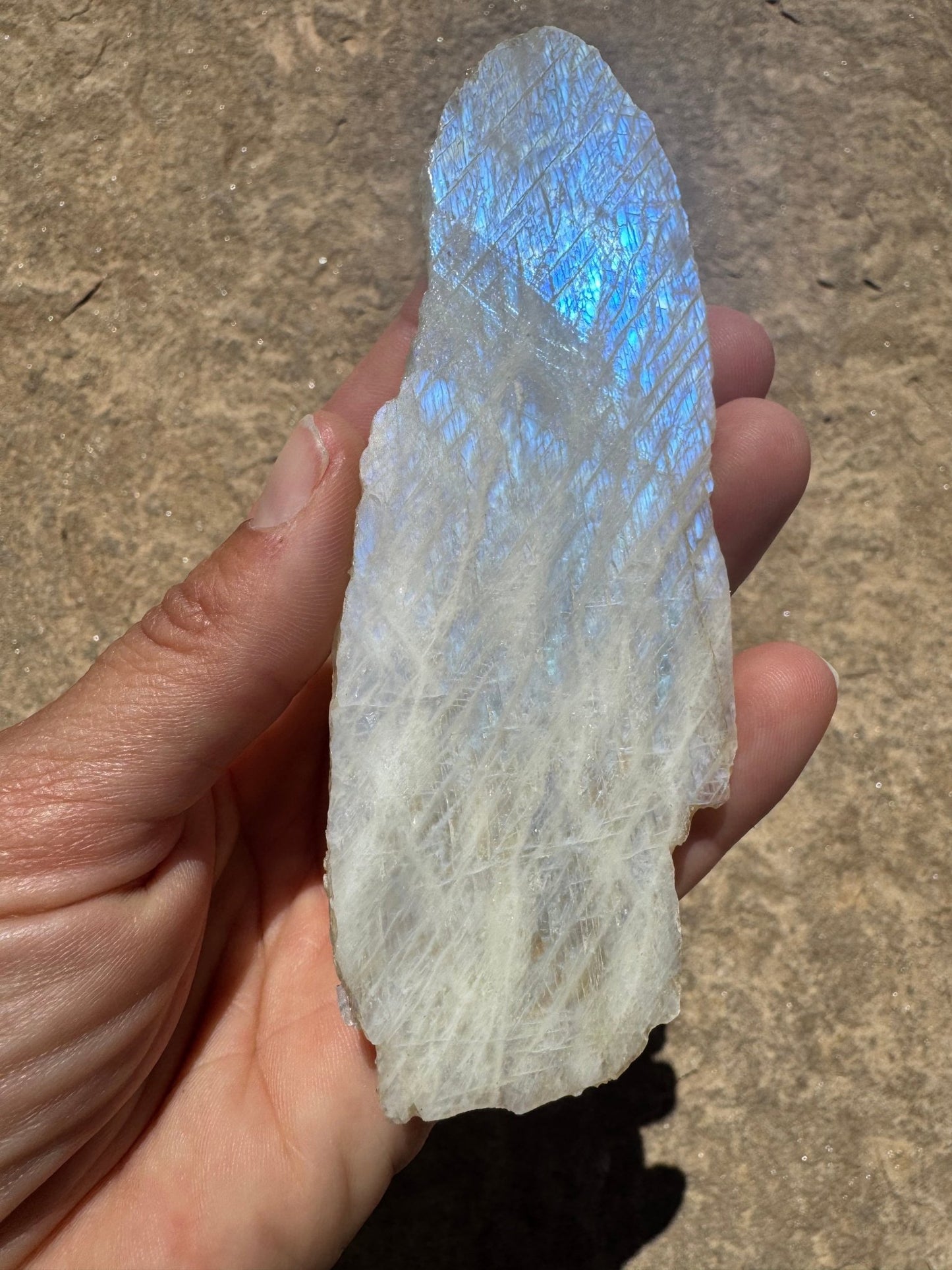 Blue Flash Moonstone Polished Slab 96g - Purple Door Alchemy