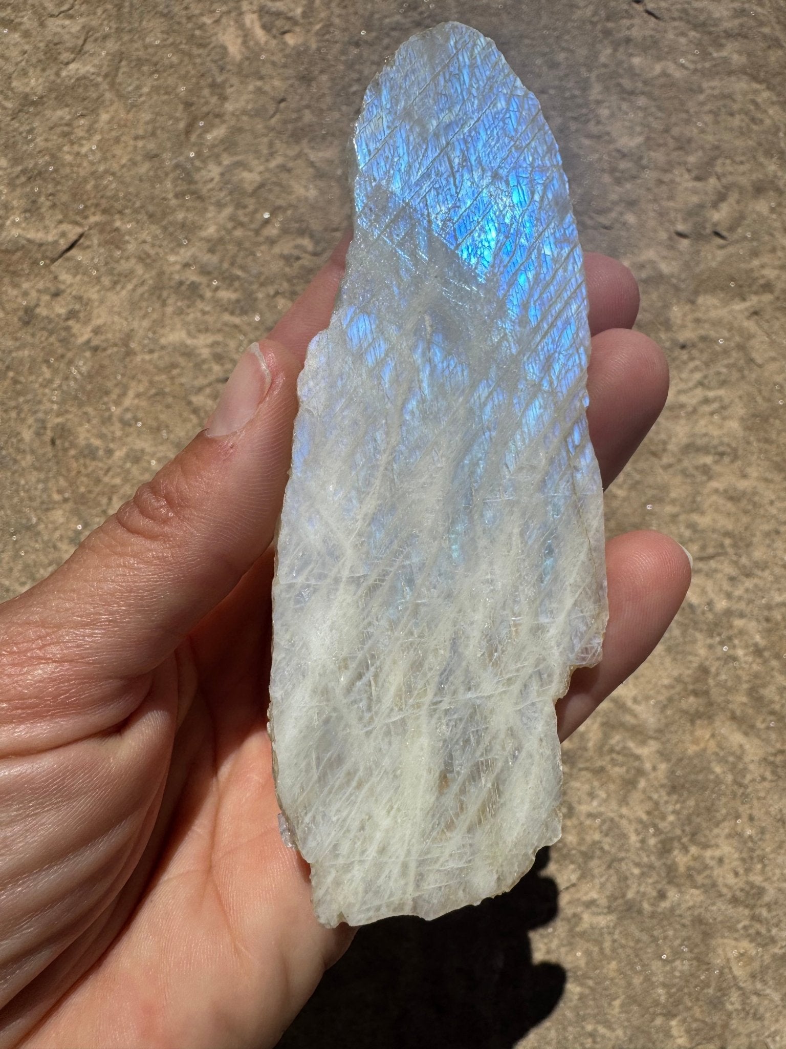 Blue Flash Moonstone Polished Slab 96g - Purple Door Alchemy