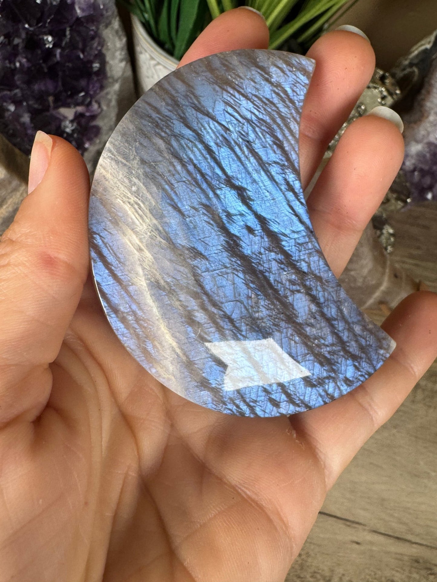 Blue Flash Moonstone Sunstone Crescent Moon on stand - Purple Door Alchemy