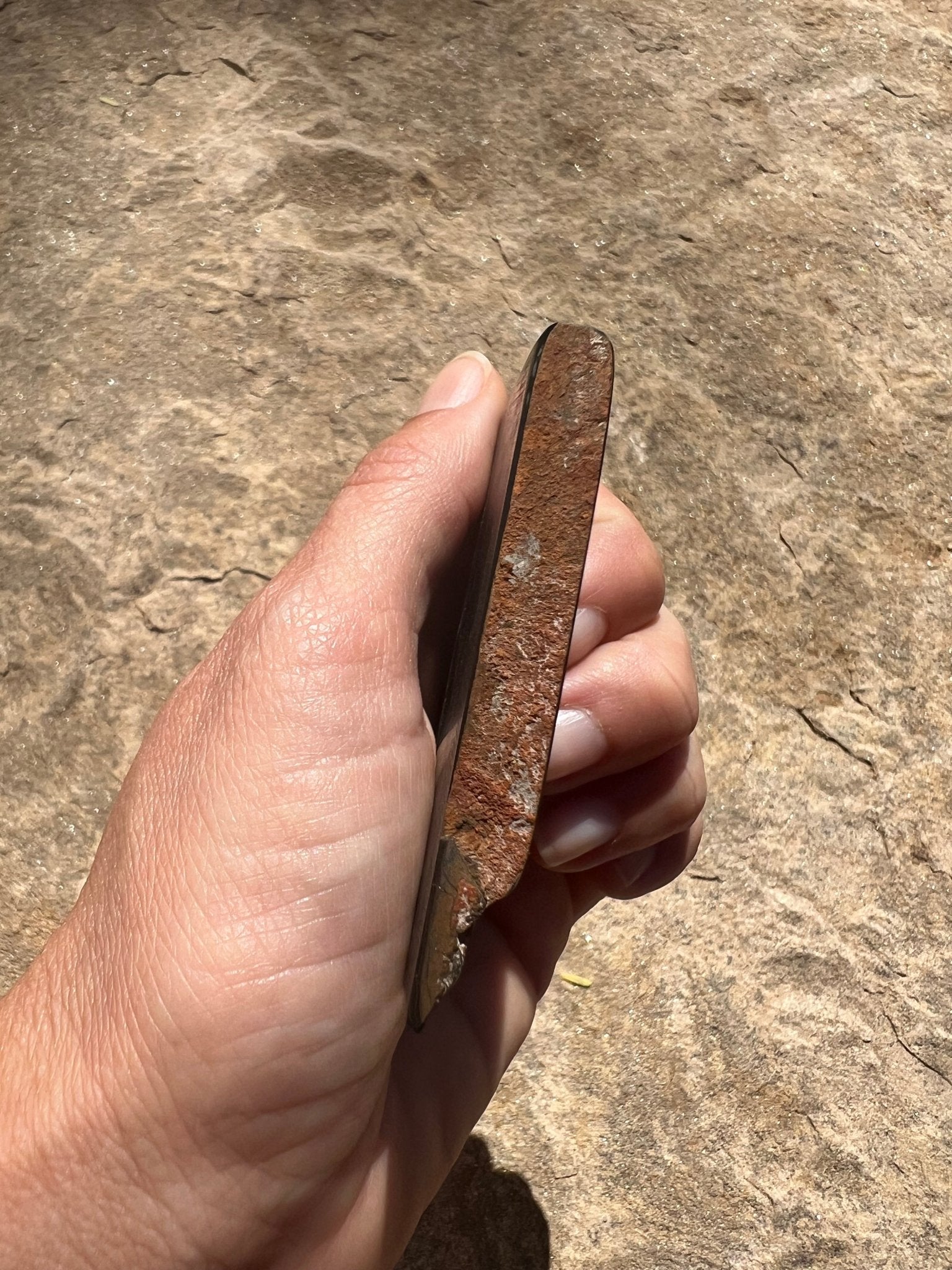 Blue Tigers Eye Slab 68g - Purple Door Alchemy