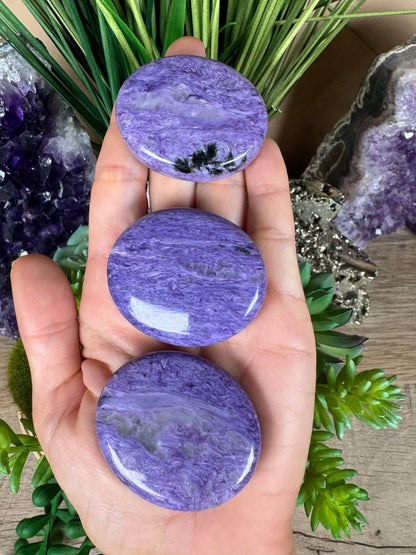 Charoite Palm Stone - Purple Door Alchemy