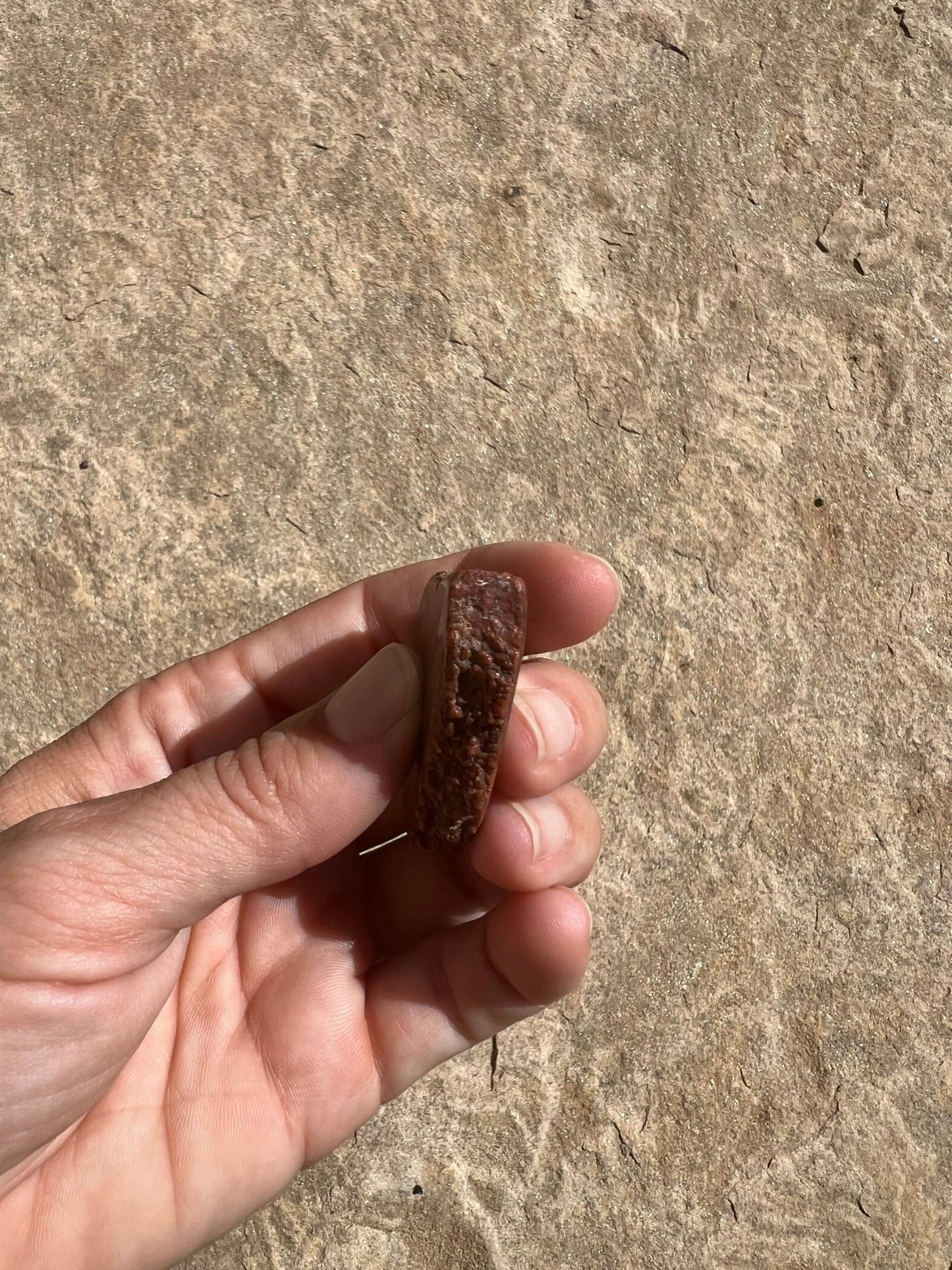 Dinosaur Bone Slab 26g - Purple Door Alchemy