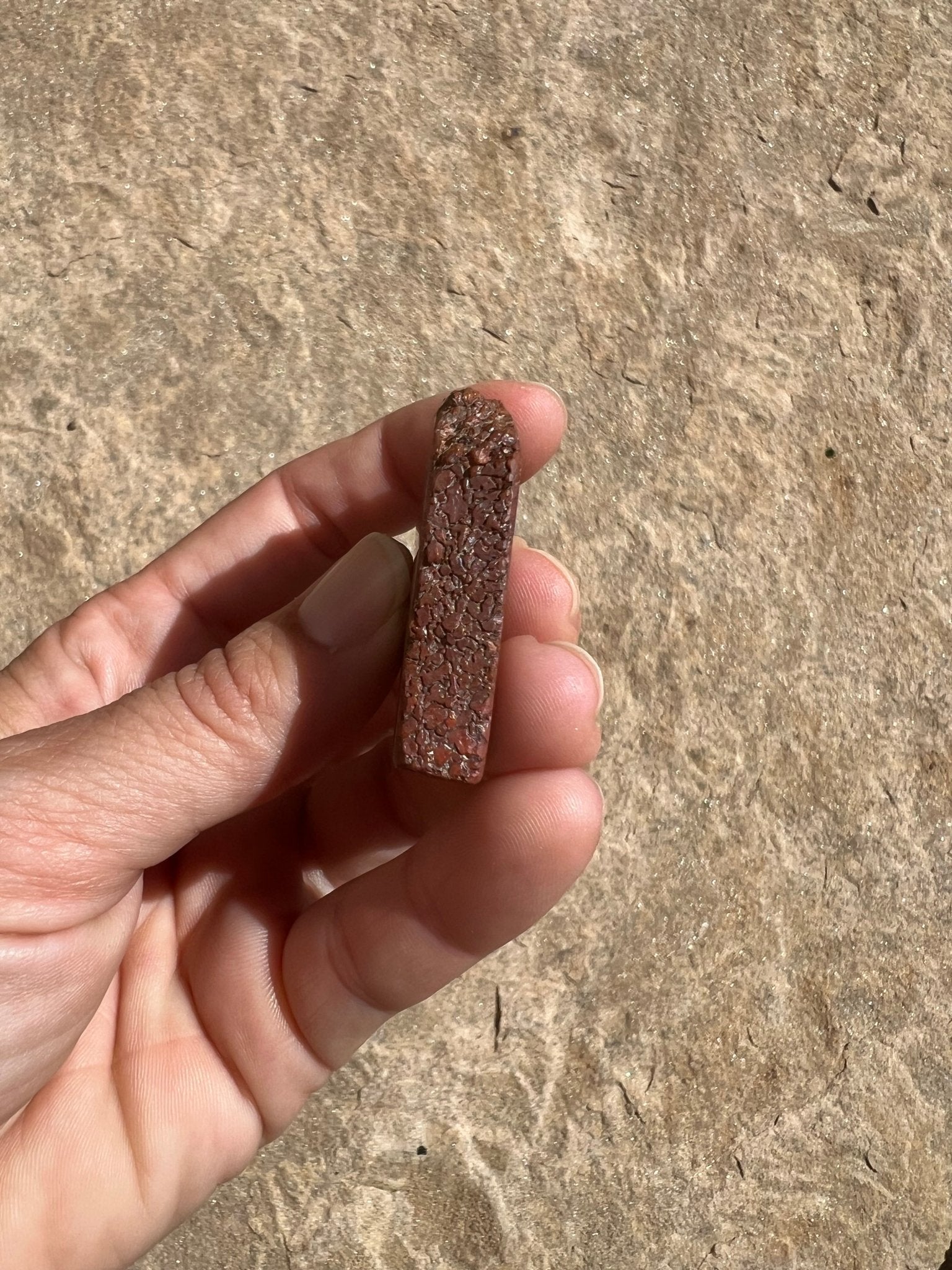 Dinosaur Bone Slab 26g - Purple Door Alchemy