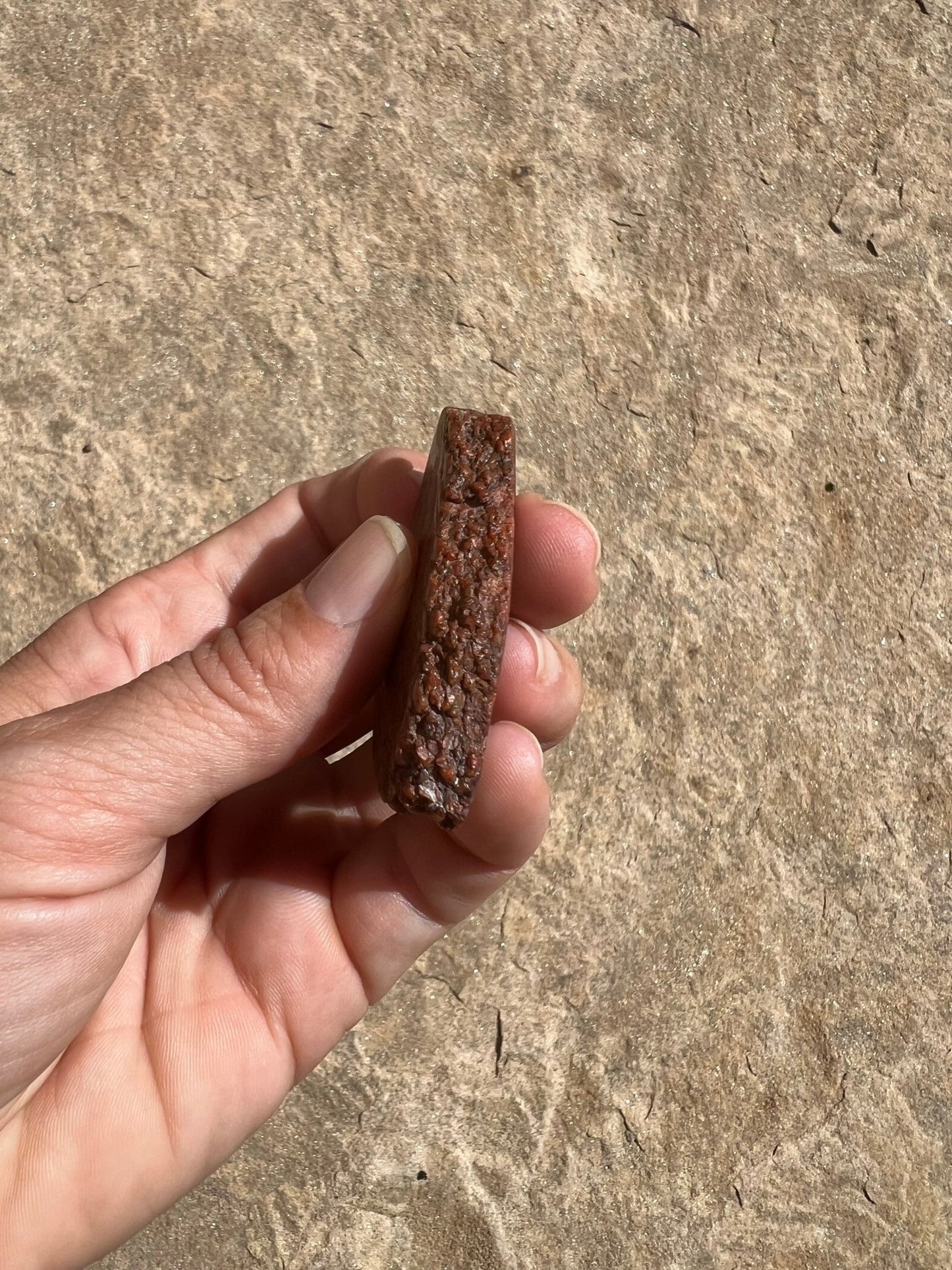 Dinosaur Bone Slab 26g - Purple Door Alchemy