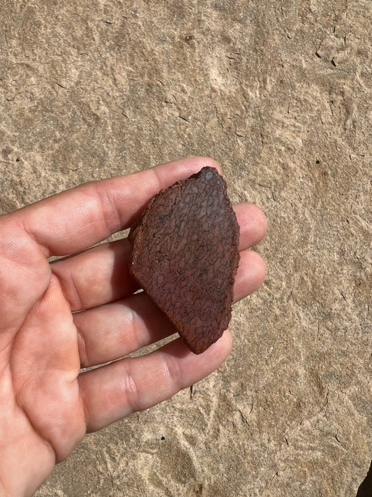 Dinosaur Bone Slab 26g - Purple Door Alchemy