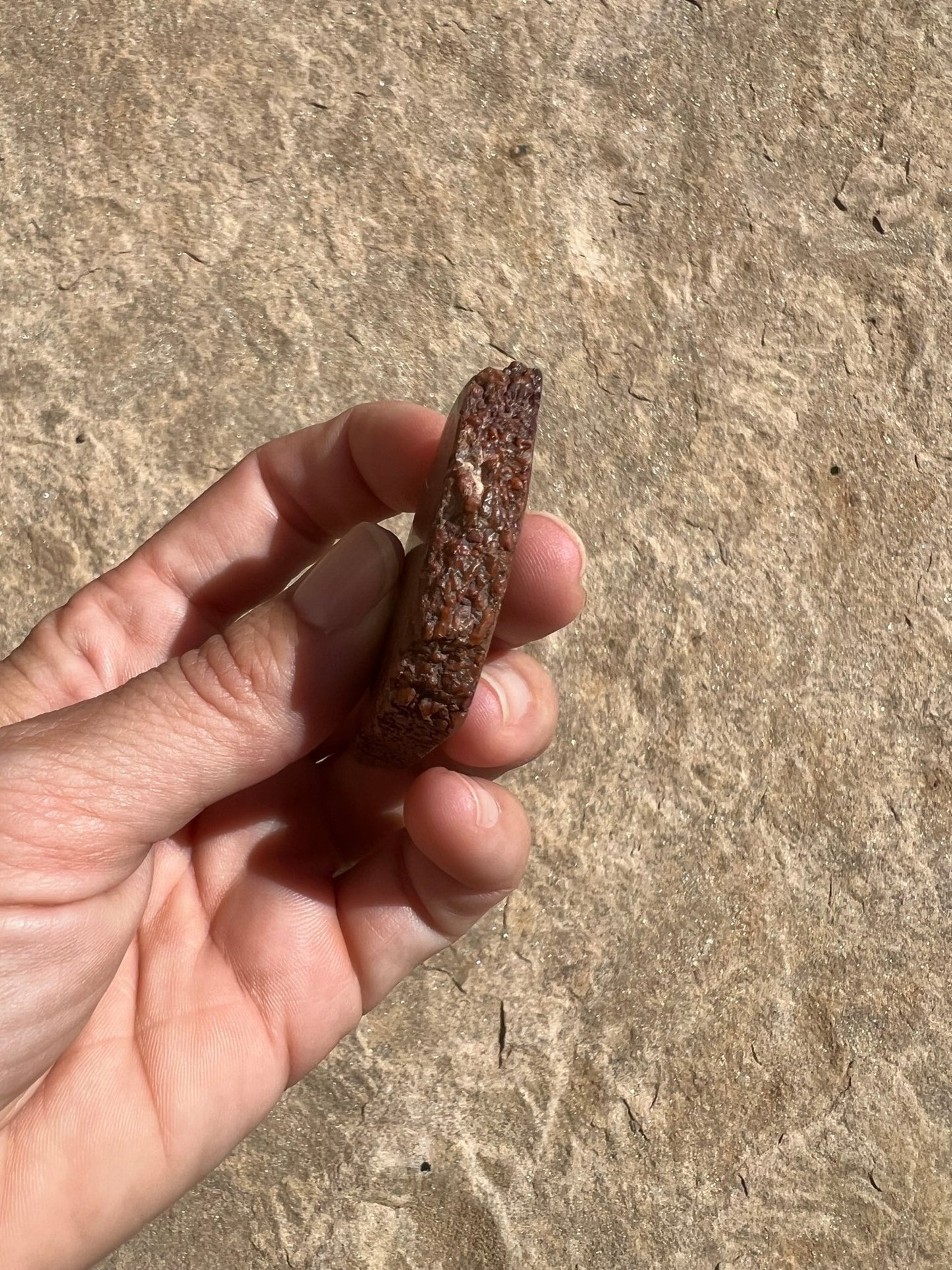 Dinosaur Bone Slab 26g - Purple Door Alchemy