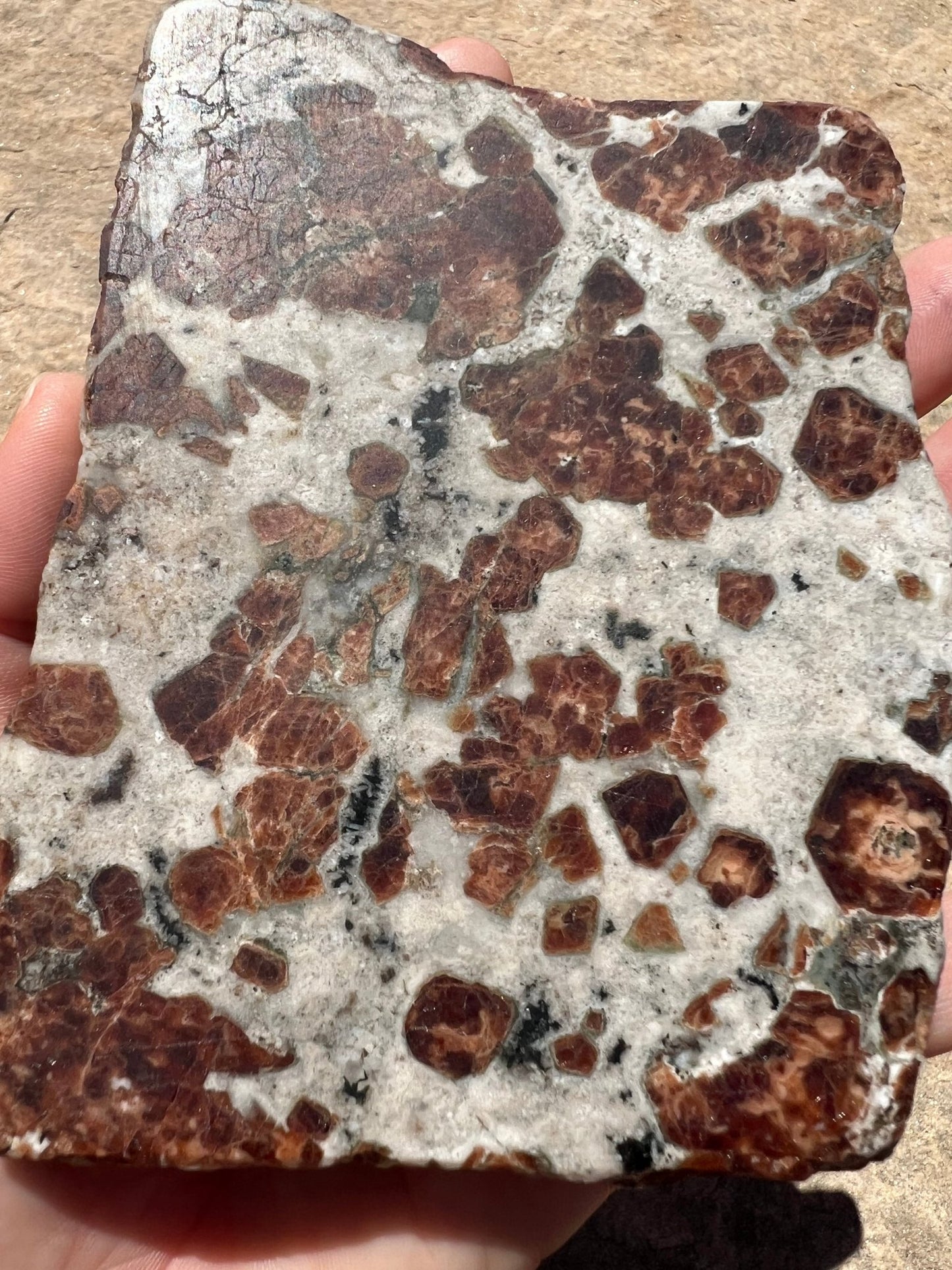 Garnet in Wollastonite Slab 272g - Purple Door Alchemy
