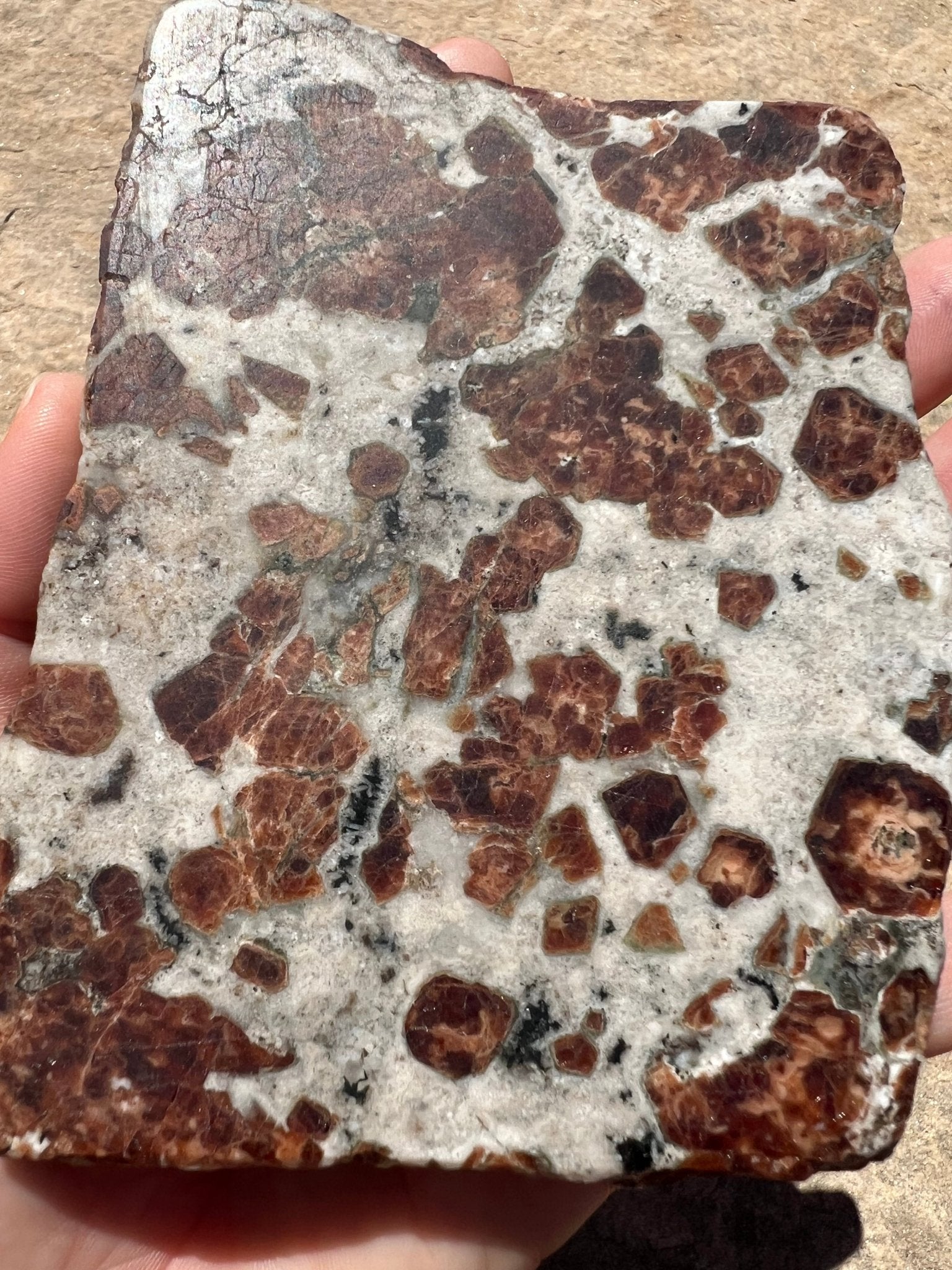 Garnet in Wollastonite Slab 272g - Purple Door Alchemy