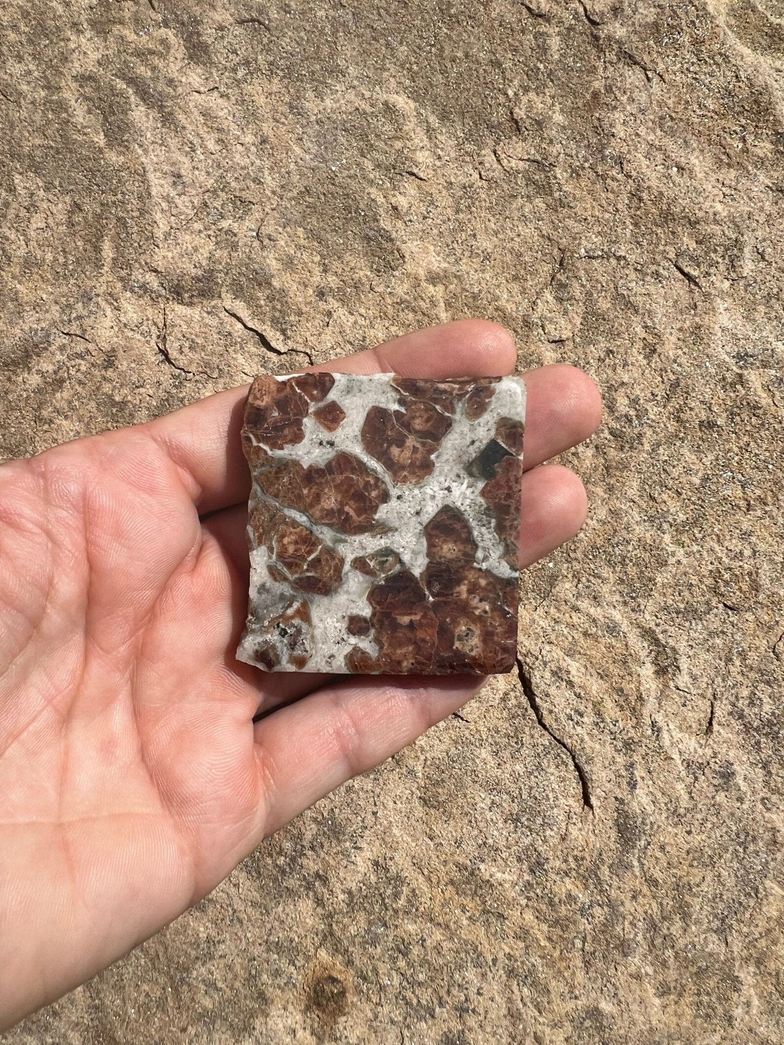 Garnet in Wollastonite Slab 58g - Purple Door Alchemy