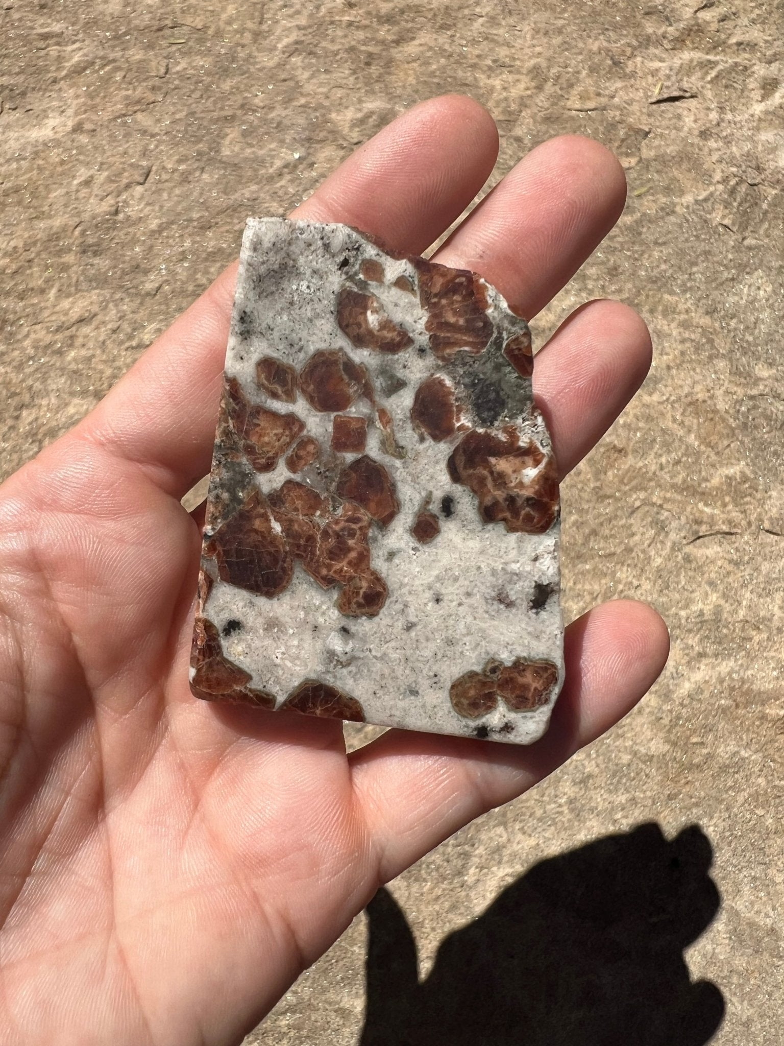 Garnet in Wollastonite Slab 62g - Purple Door Alchemy