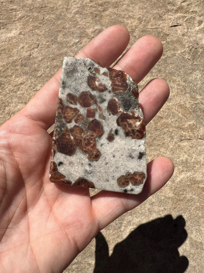 Garnet in Wollastonite Slab 62g - Purple Door Alchemy