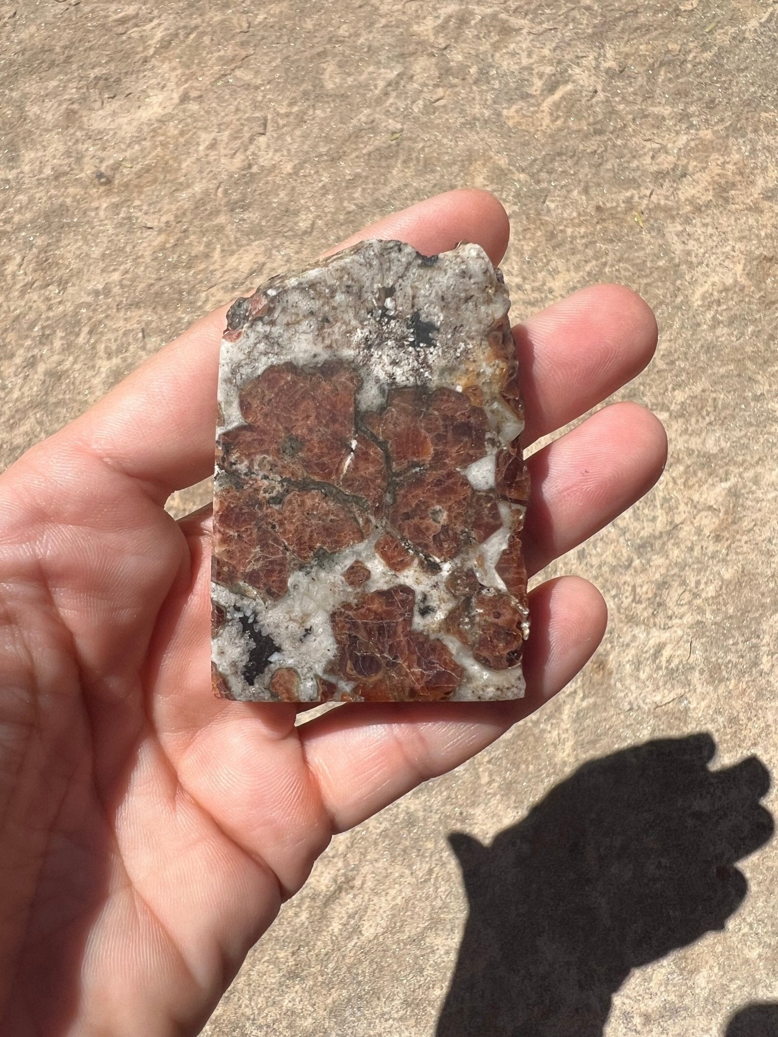 Garnet in Wollastonite Slab 64g - Purple Door Alchemy
