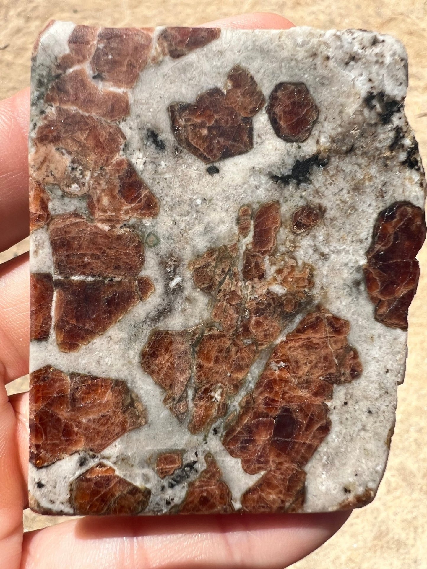 Garnet in Wollastonite Slab 70g - Purple Door Alchemy