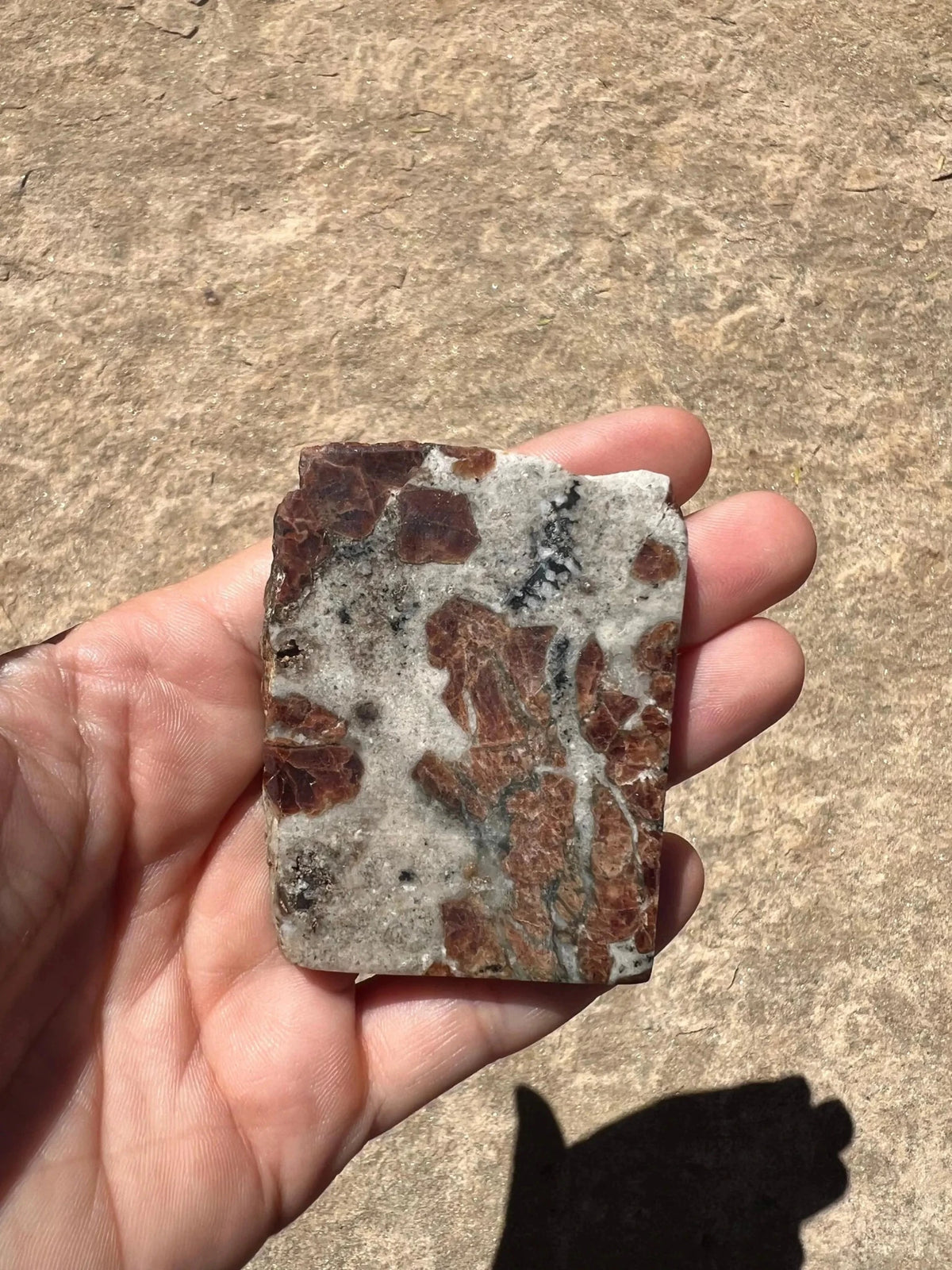 Garnet in Wollastonite Slab 70g - Purple Door Alchemy