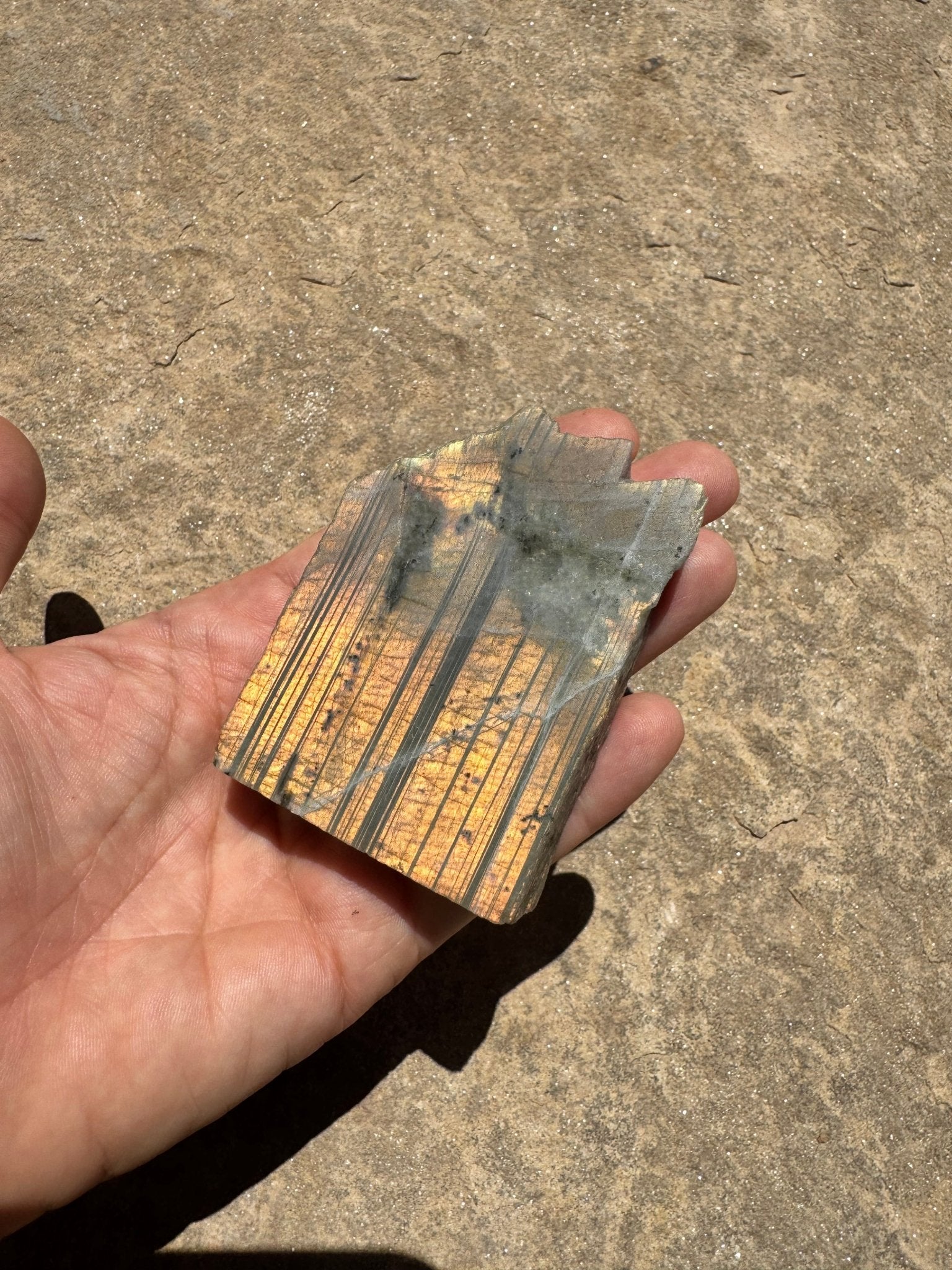 Golden Flash Labradorite Polished Slab 137g - Purple Door Alchemy