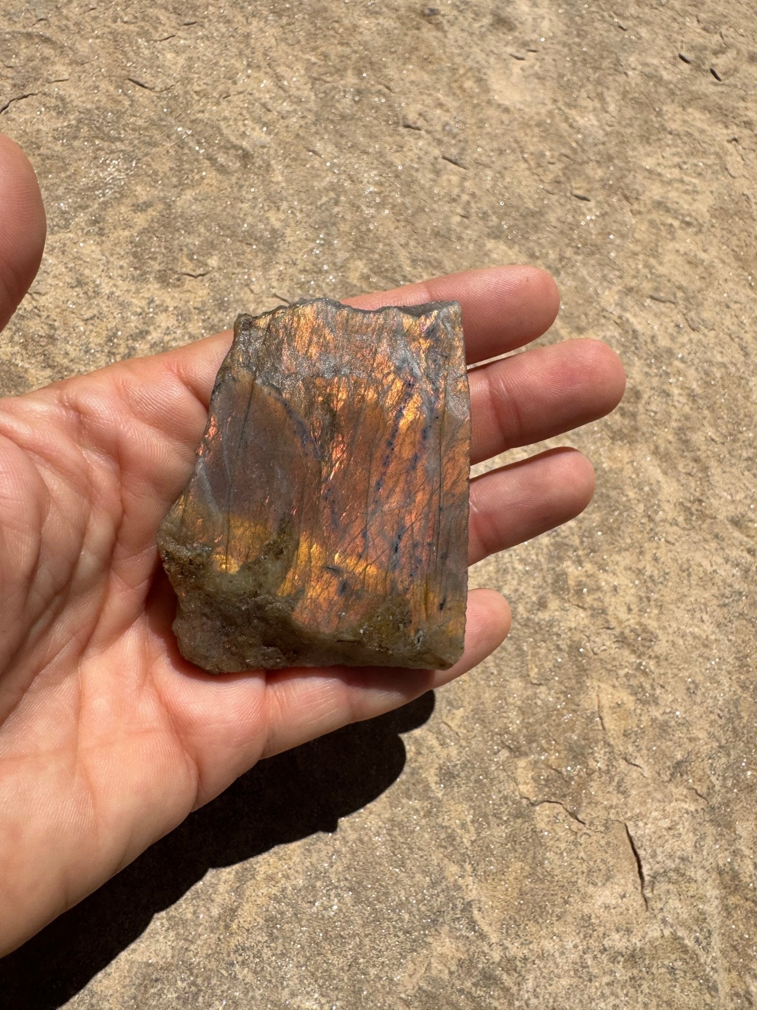 Golden Flash Labradorite Polished Slab 77g - Purple Door Alchemy