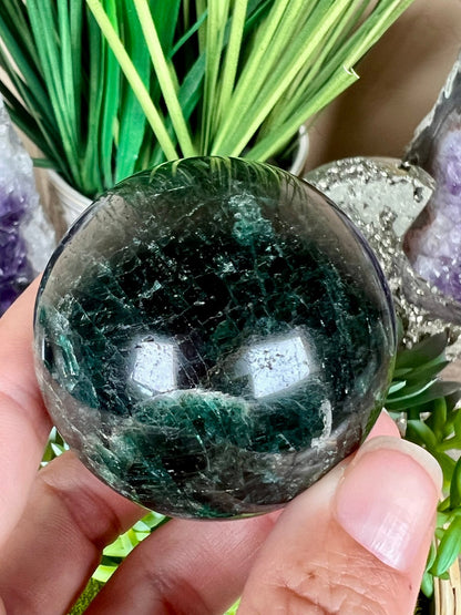 Green Apatite Sphere 51mm (2.0 inches) - Purple Door Alchemy
