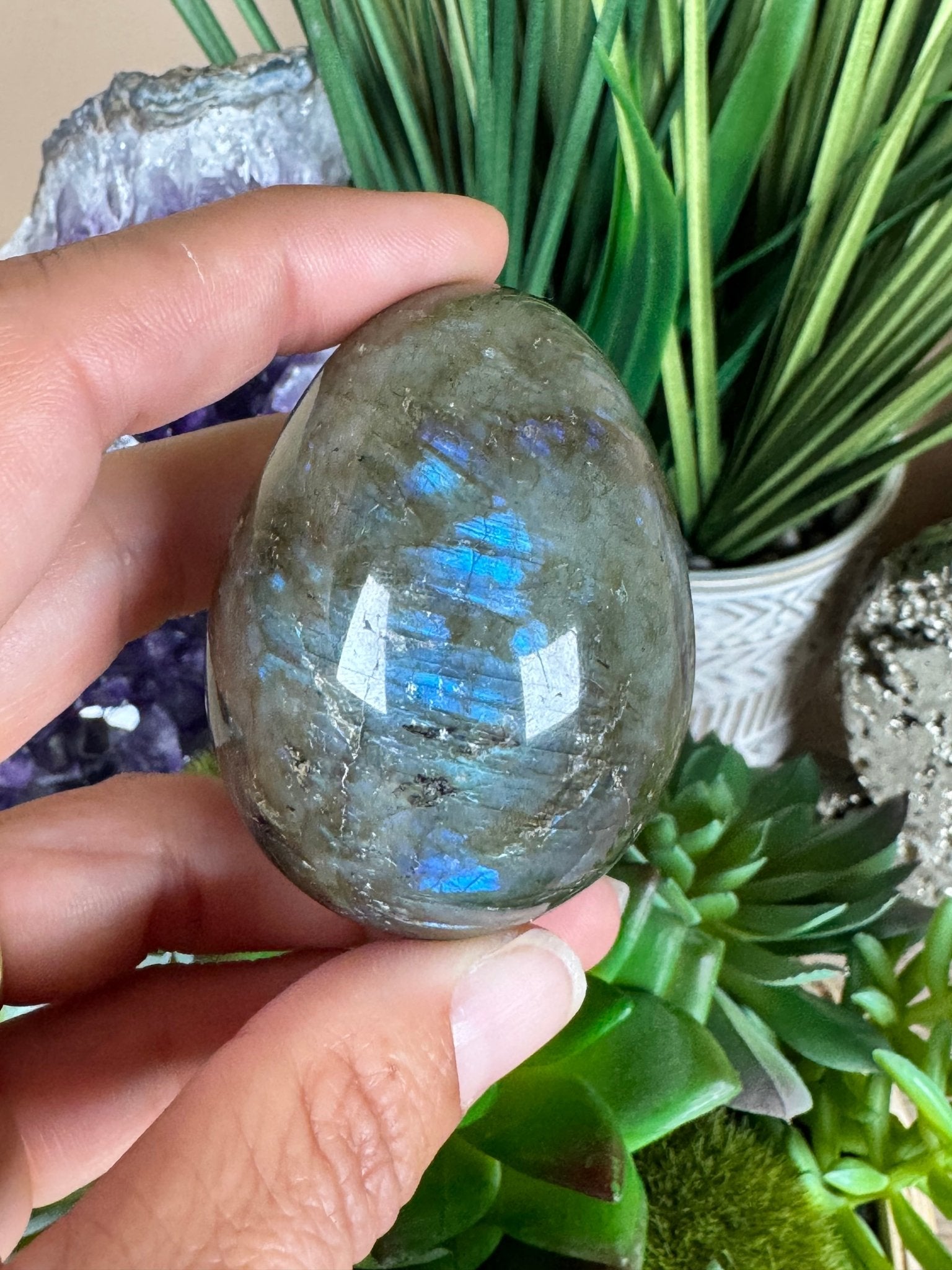Labradorite Egg 2.2in - Purple Door Alchemy