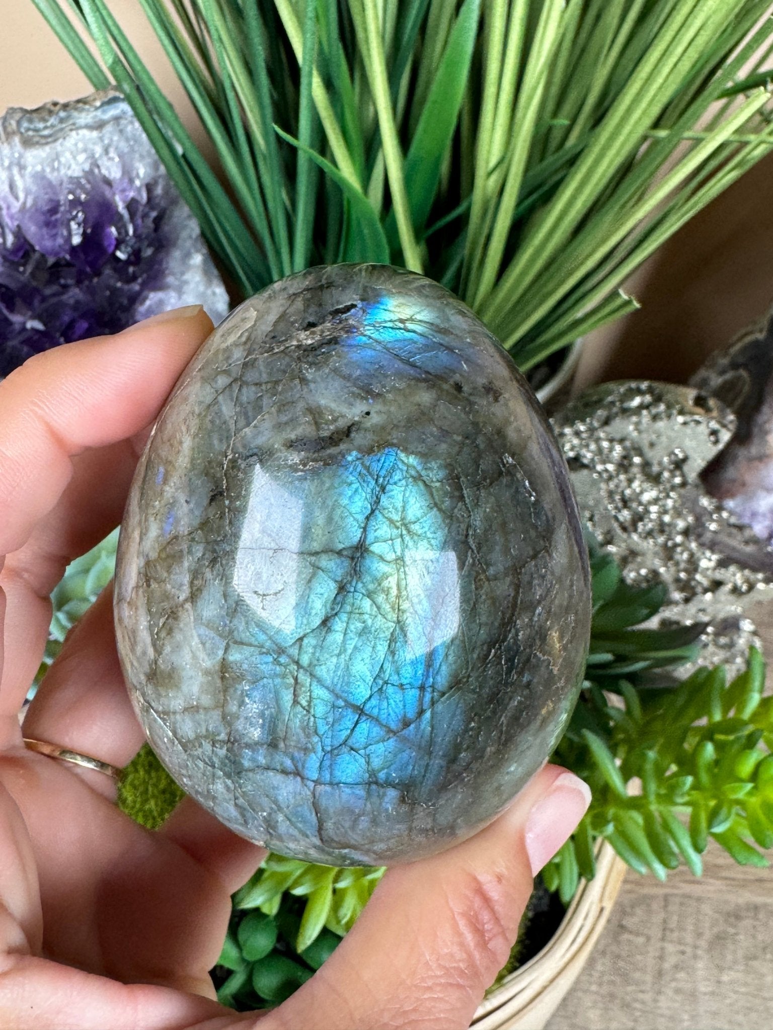 Labradorite Egg 3.2in - Purple Door Alchemy