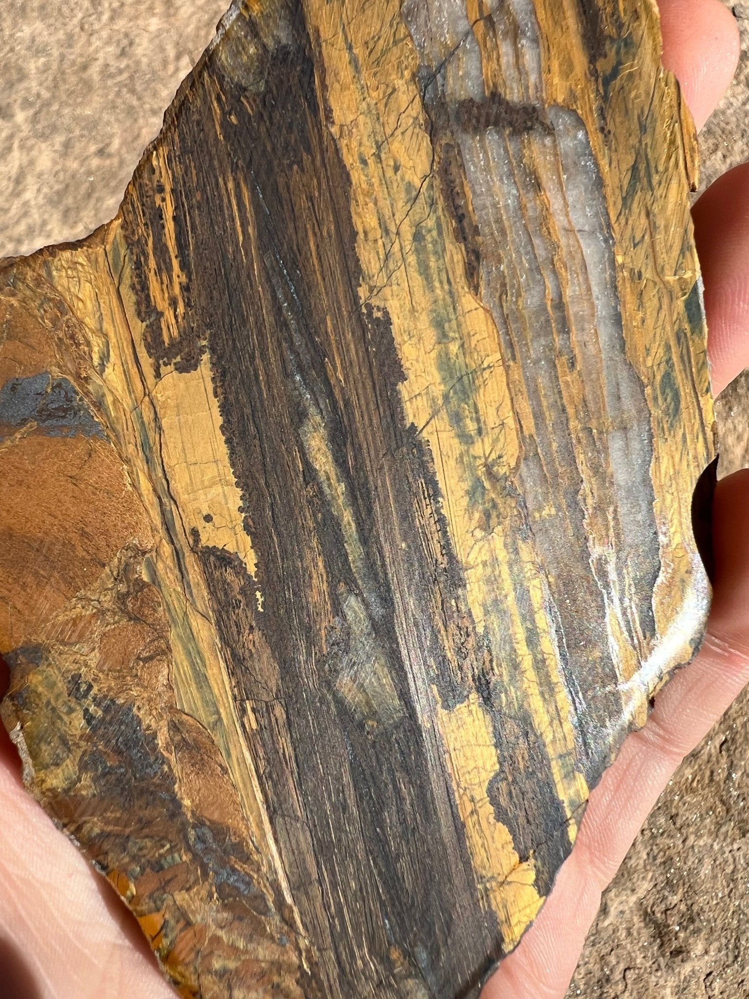 Lionskin Slab 124g - Purple Door Alchemy