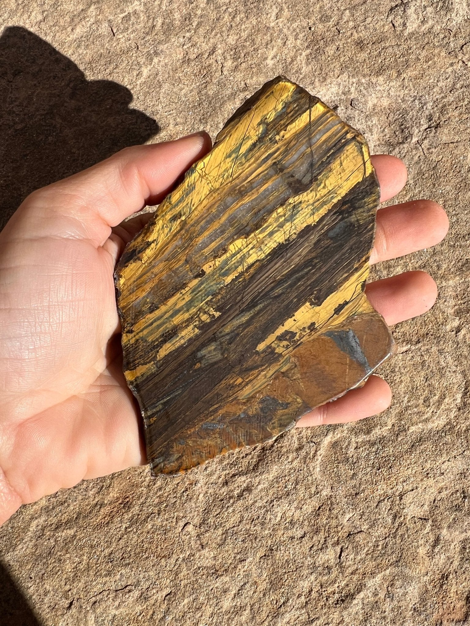 Lionskin Slab 143g - Purple Door Alchemy